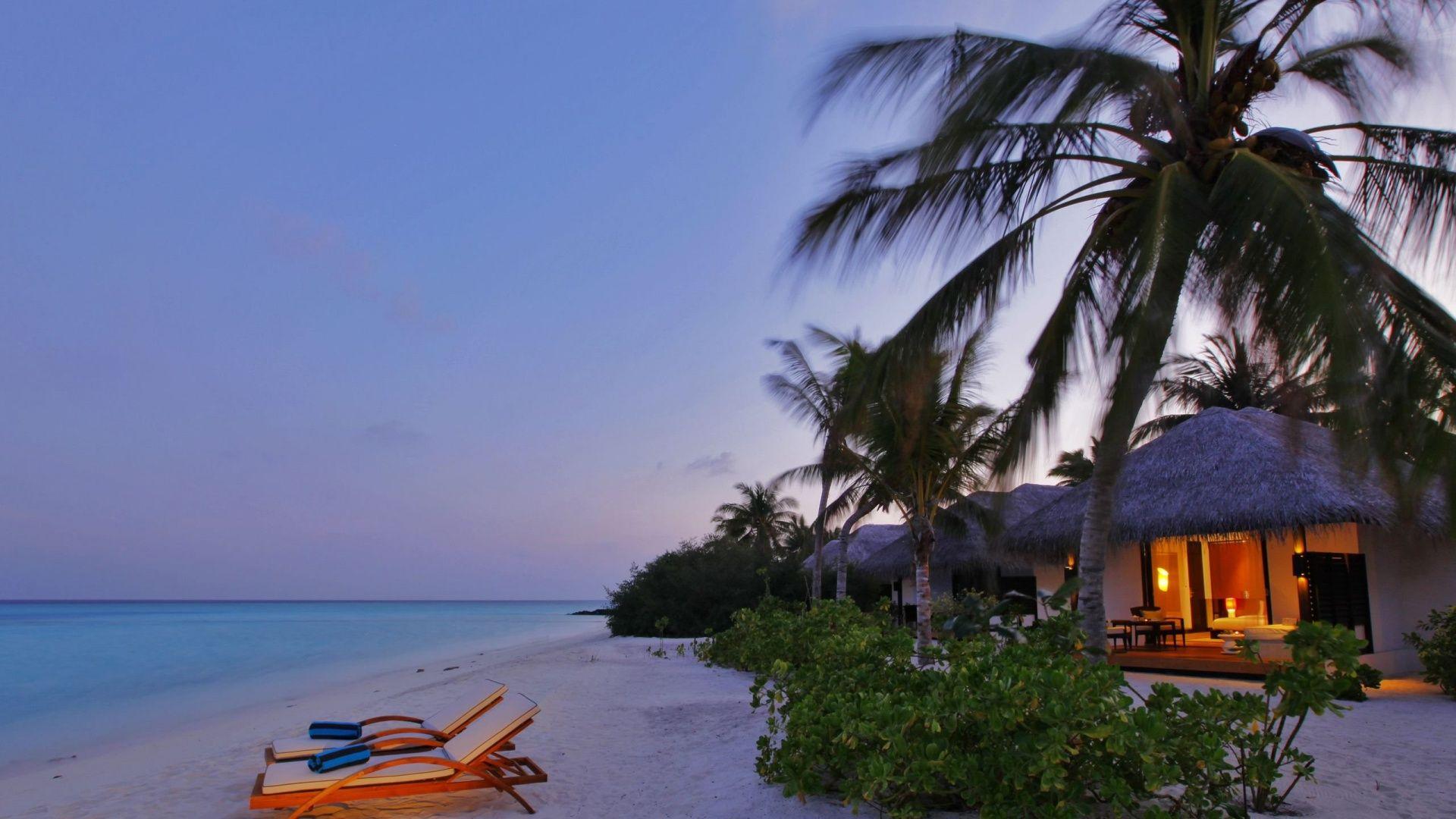 1920x1080 Exotic Wallpaper, Exotic Wallpaper for Windows and Mac Systems