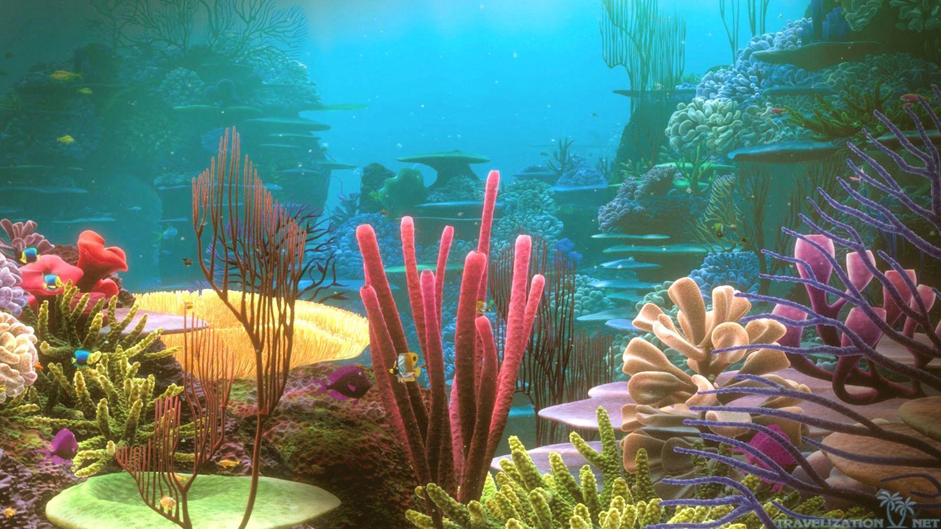 1920x1080 Coral Reef Wallpaper. Underwater wallpaper