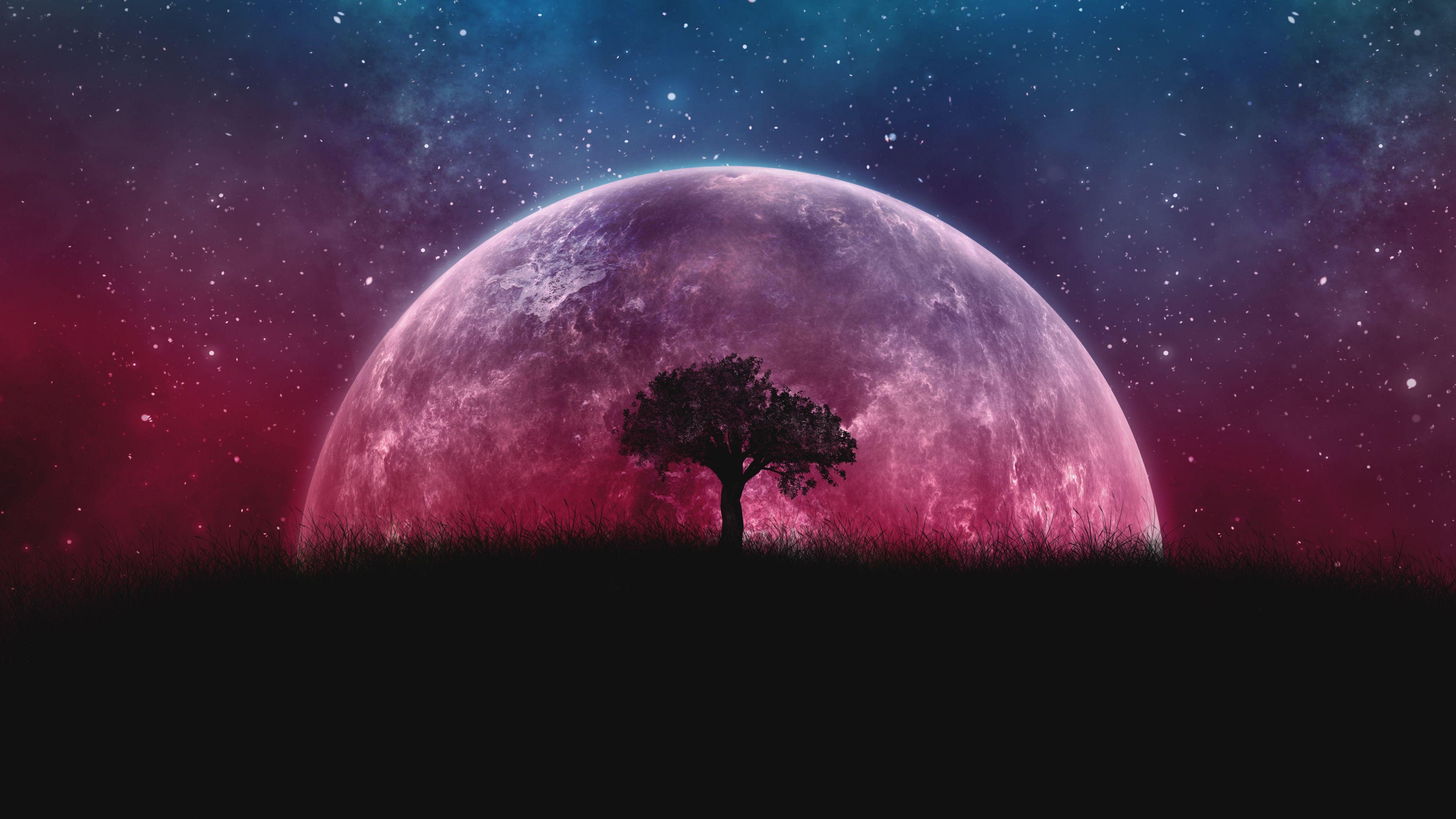 3840x2160 Download Planet, tree, moon, galaxy, stars, sky, silhouette wallpaper, 3840x 4K UHD 16: Widescreen
