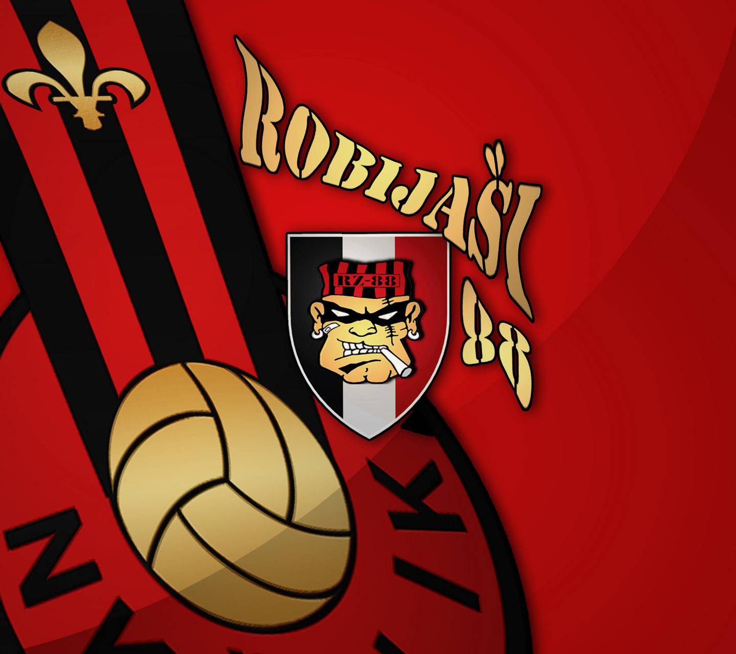 1440x1280 ROBIJASI ZENICA wallpaper
