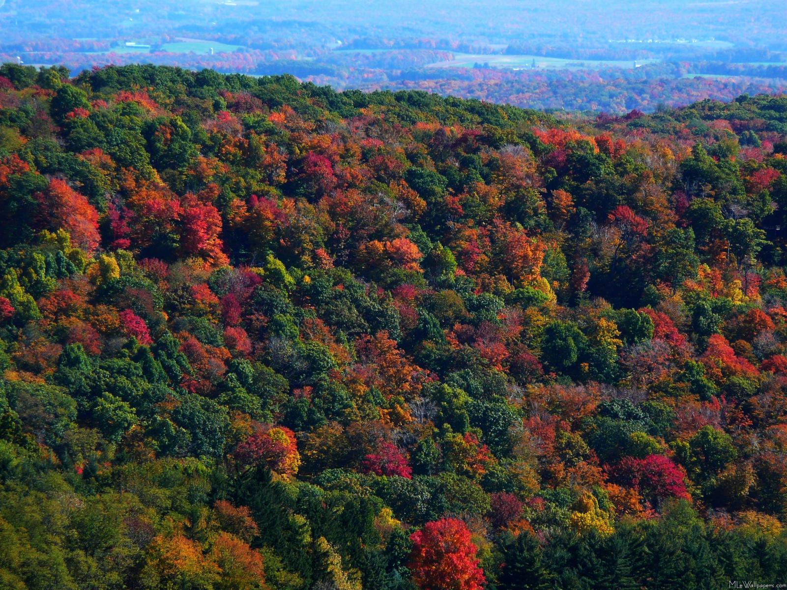 1601x1200 MLeWallpaper.com Mountains in Fall
