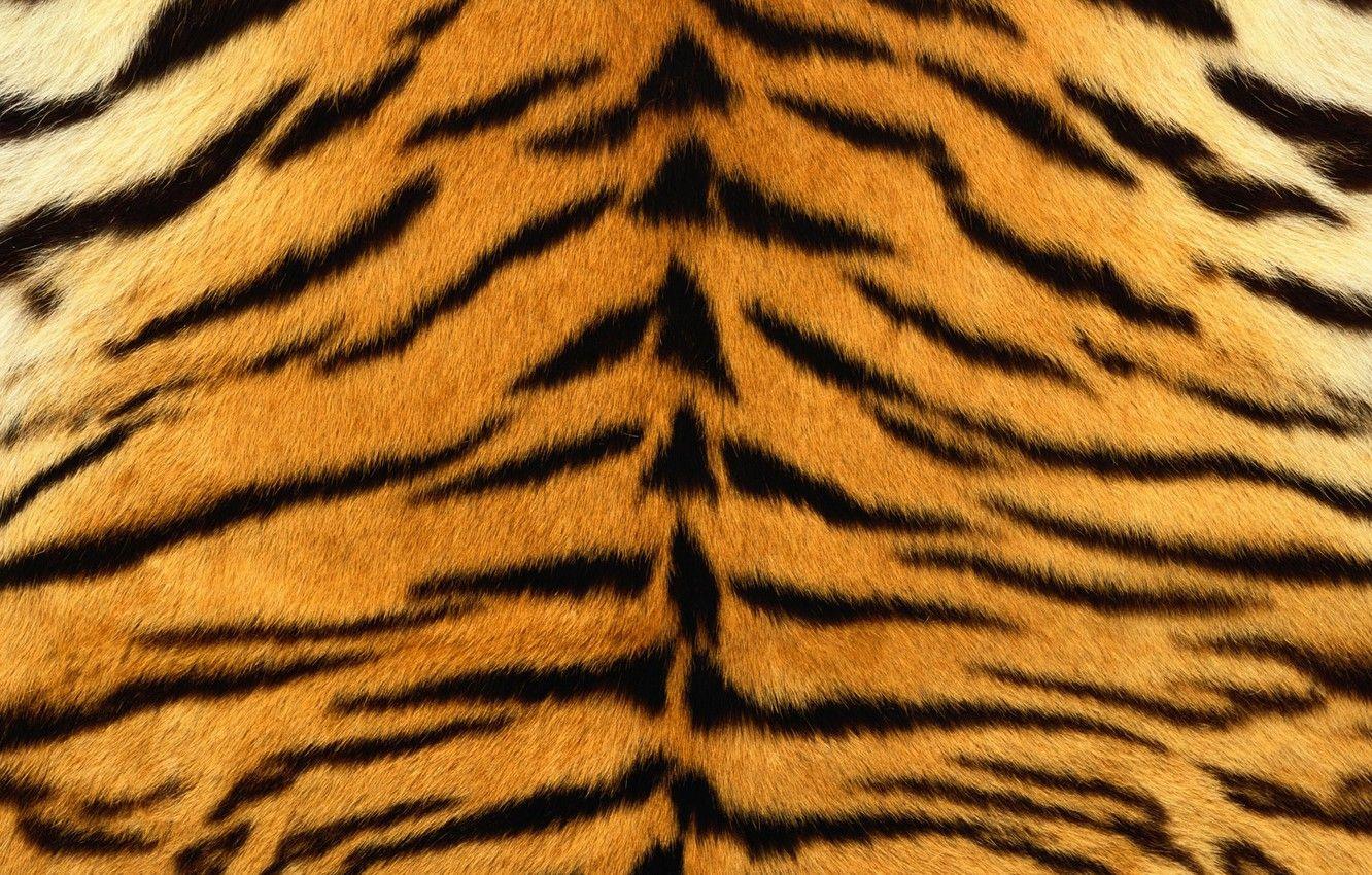 1332x850 Wallpaper strips, tiger, skin, fur, striped image for desktop