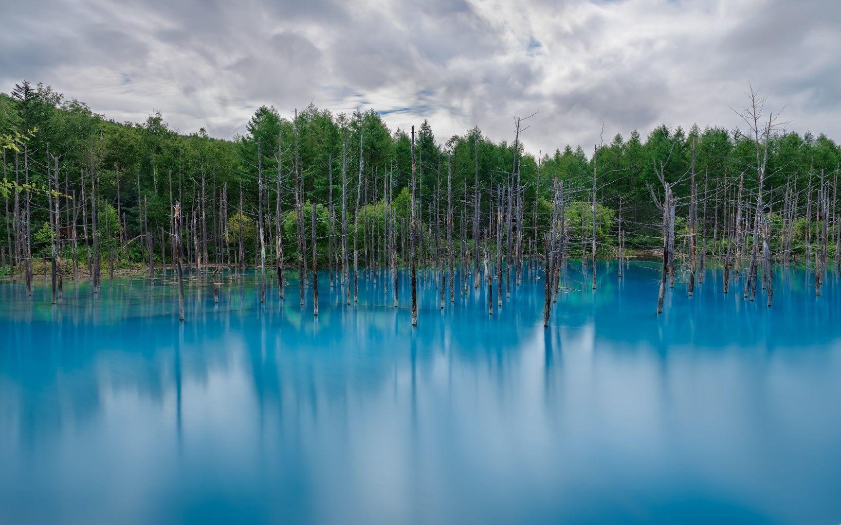 1728x1080 Nature Background 1920x1080 HD Wallpaper