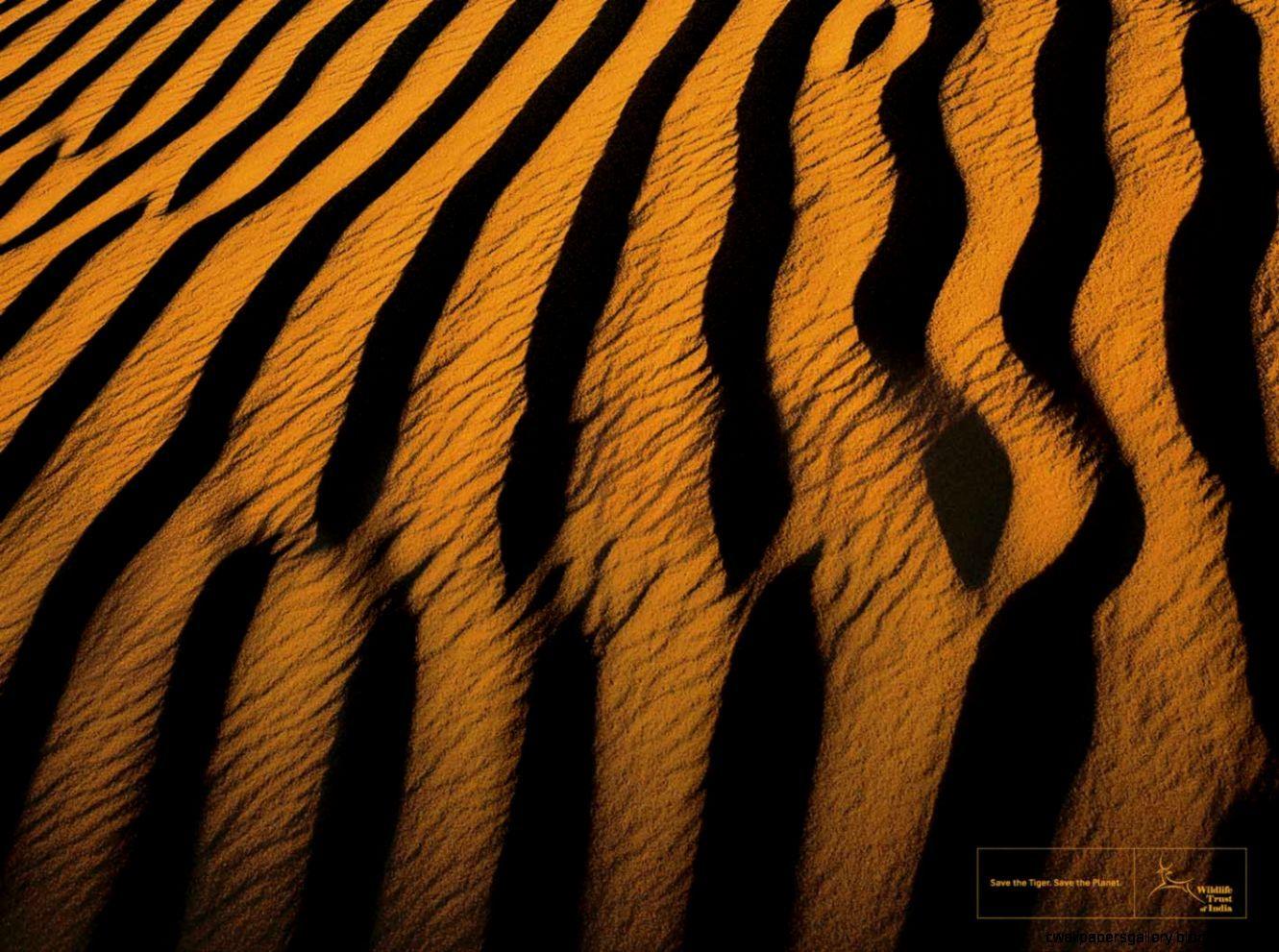 1331x991 Skin Wallpaper