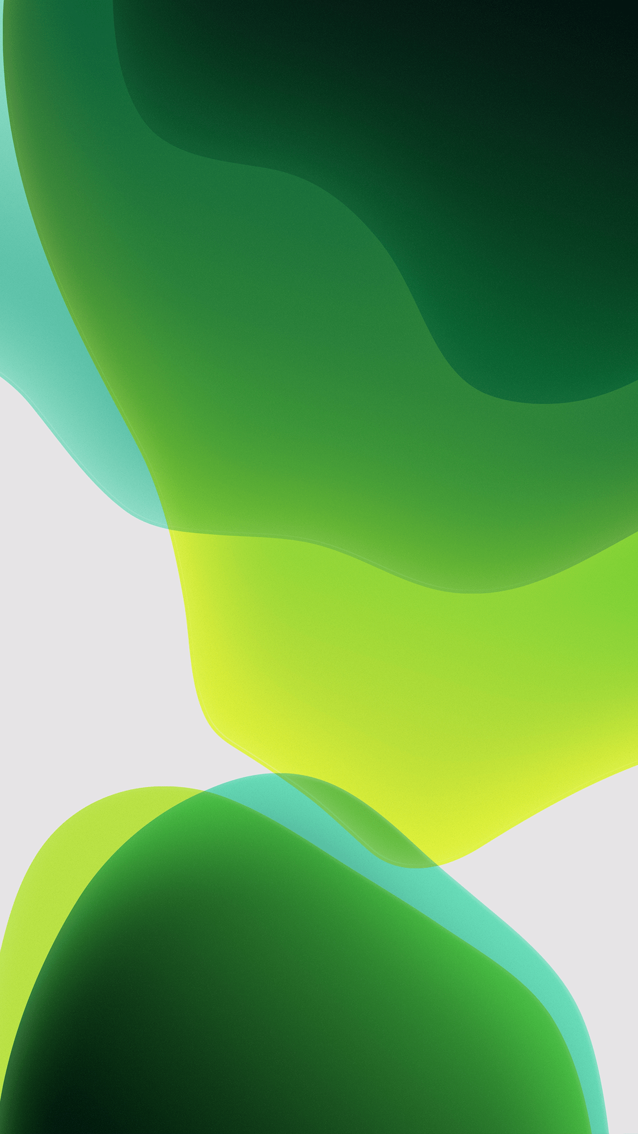1242x2208 iOS 13 Wallpaper (YTECHB Exclusive). iPhone wallpaper ios, Ios