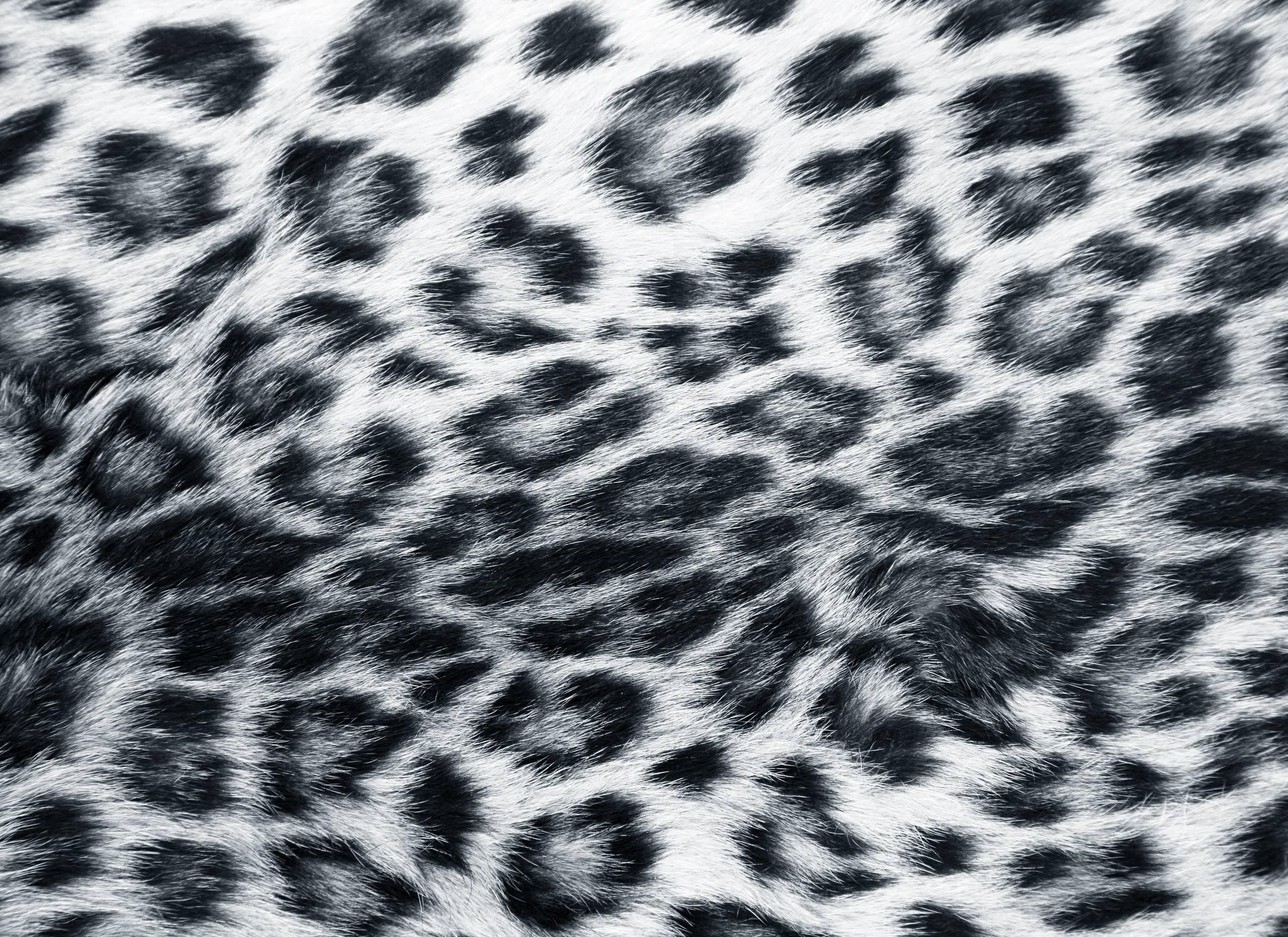 2594x1888 Animal Print Desktop Background