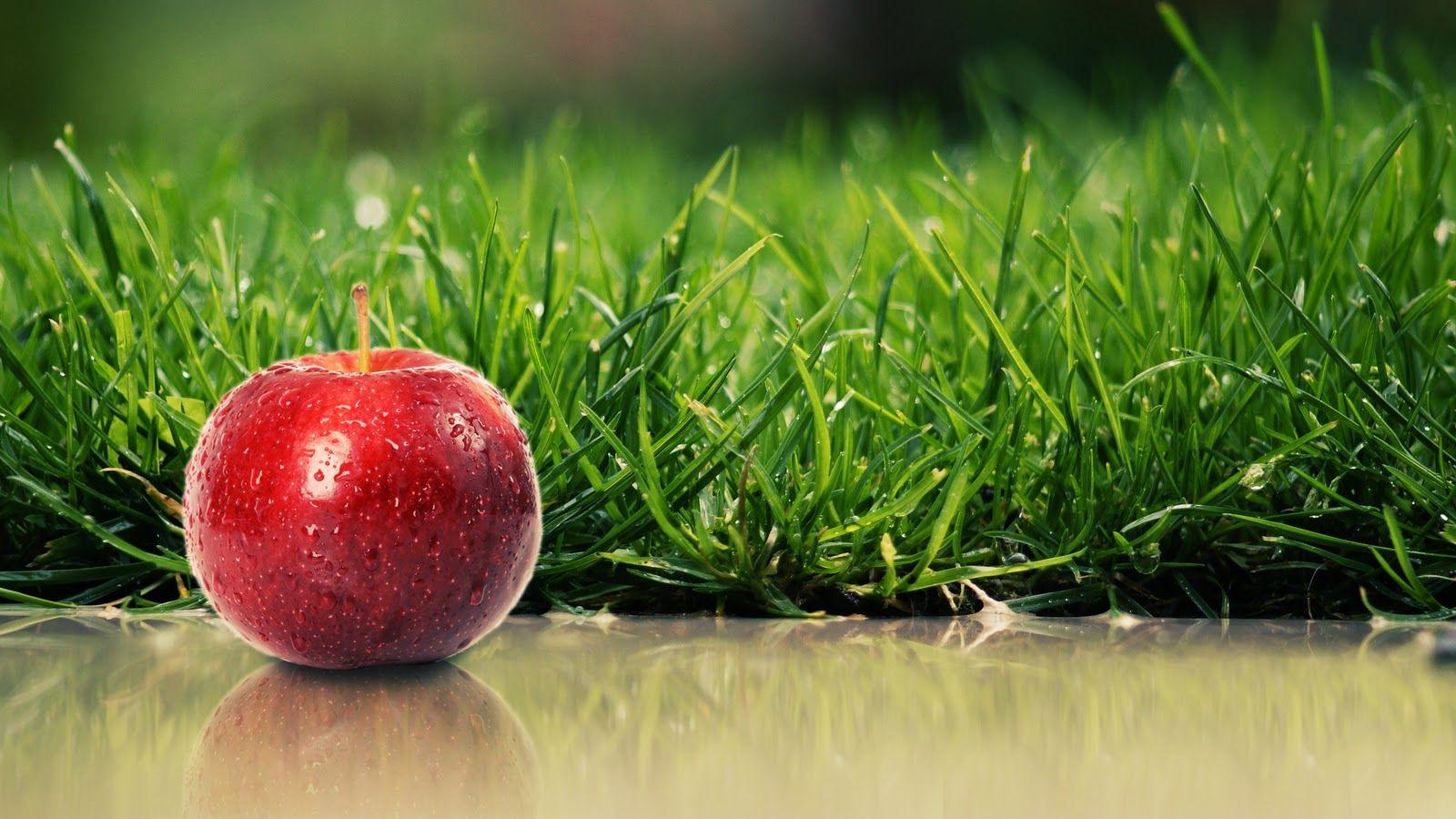 1600x900 HD Nature Wallpaper For Mac