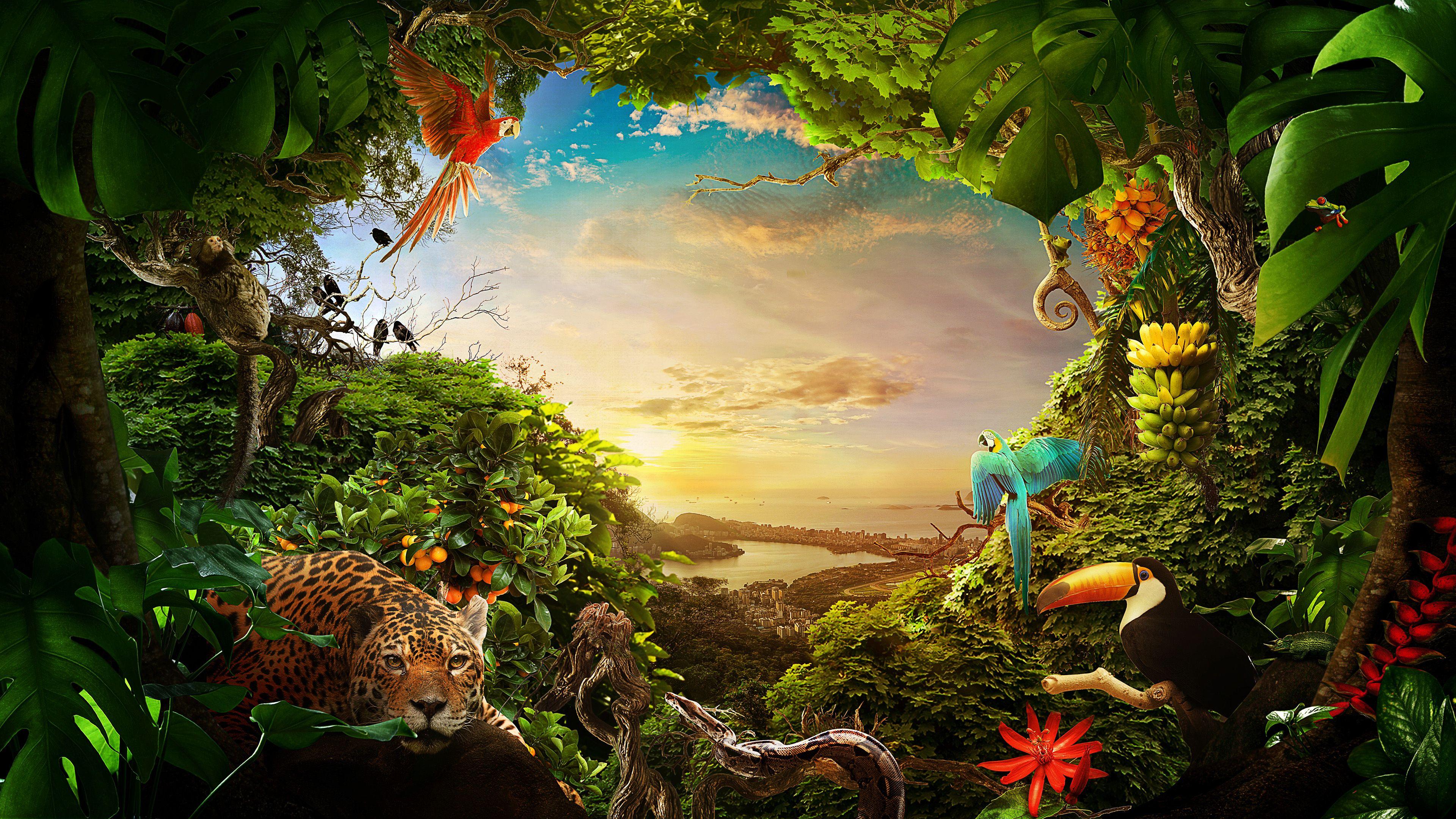 Forest Wildlife Wallpapers - Top Free Forest Wildlife Backgrounds