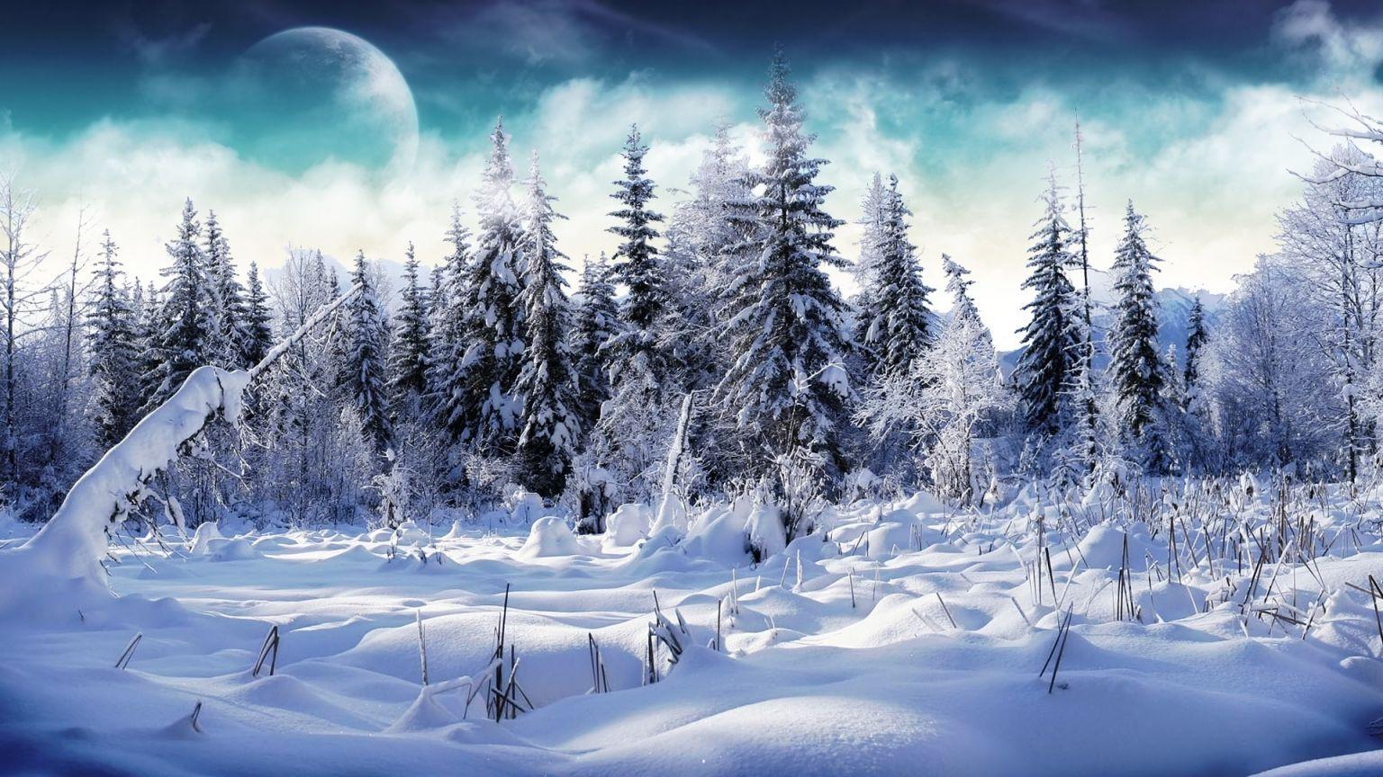 1536x864 Free download 25 Stunning Winter Wallpaper [1920x1200]