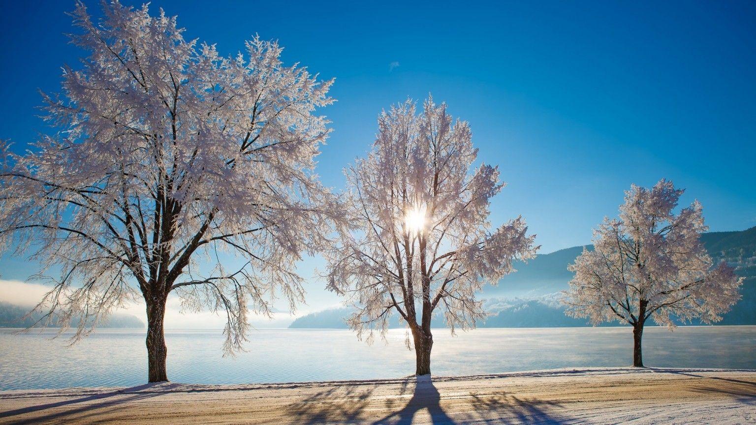 1536x864 Download 1536x864 Winter, Trees, Sunlight, Clean Sky, Lake
