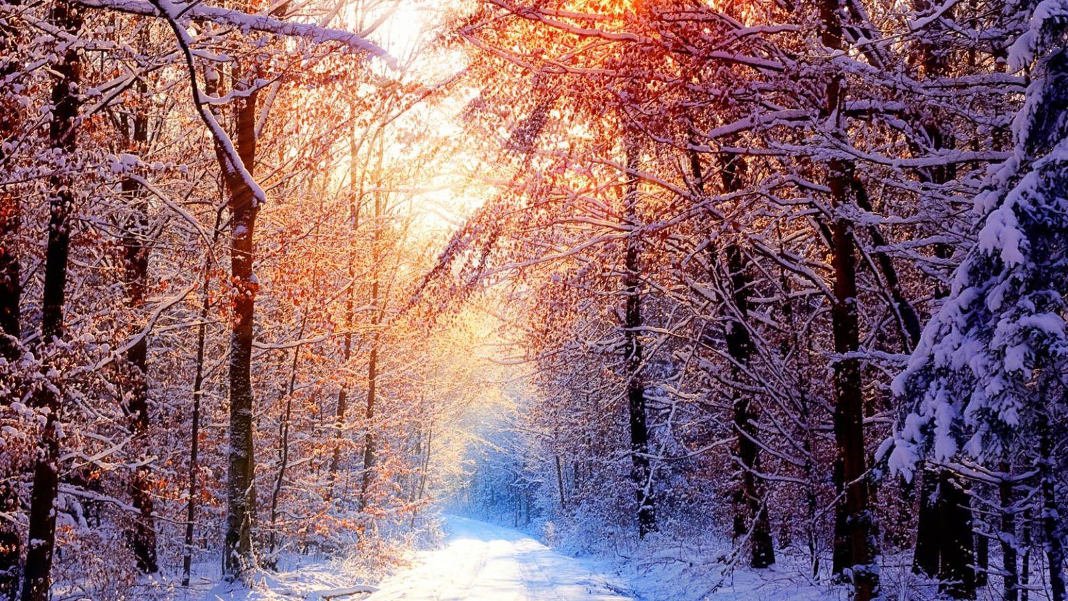 1536x864 Free download Winter Desktop Wallpaper and Background Wallpaper