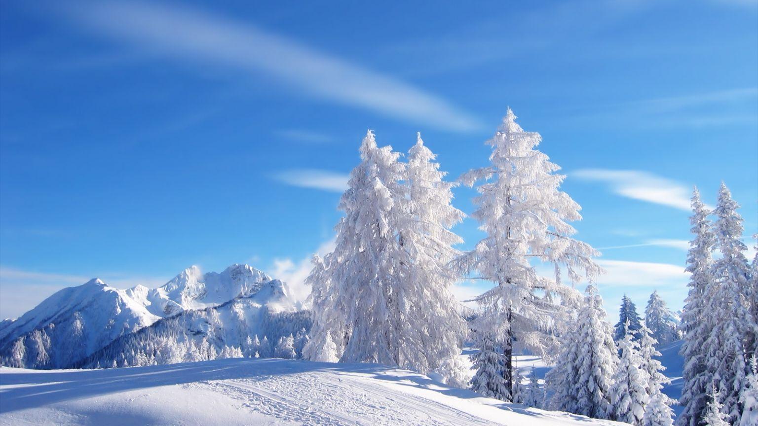 1536x864 Free download Winter Wallpaper HD Winter Wallpaper HD 1600x1200
