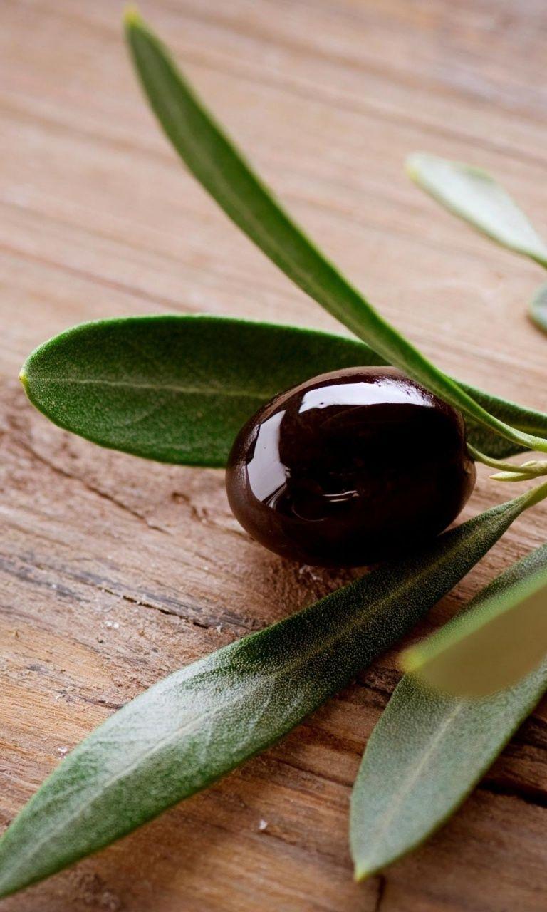 Olive HD Wallpapers - Top Free Olive HD Backgrounds - WallpaperAccess