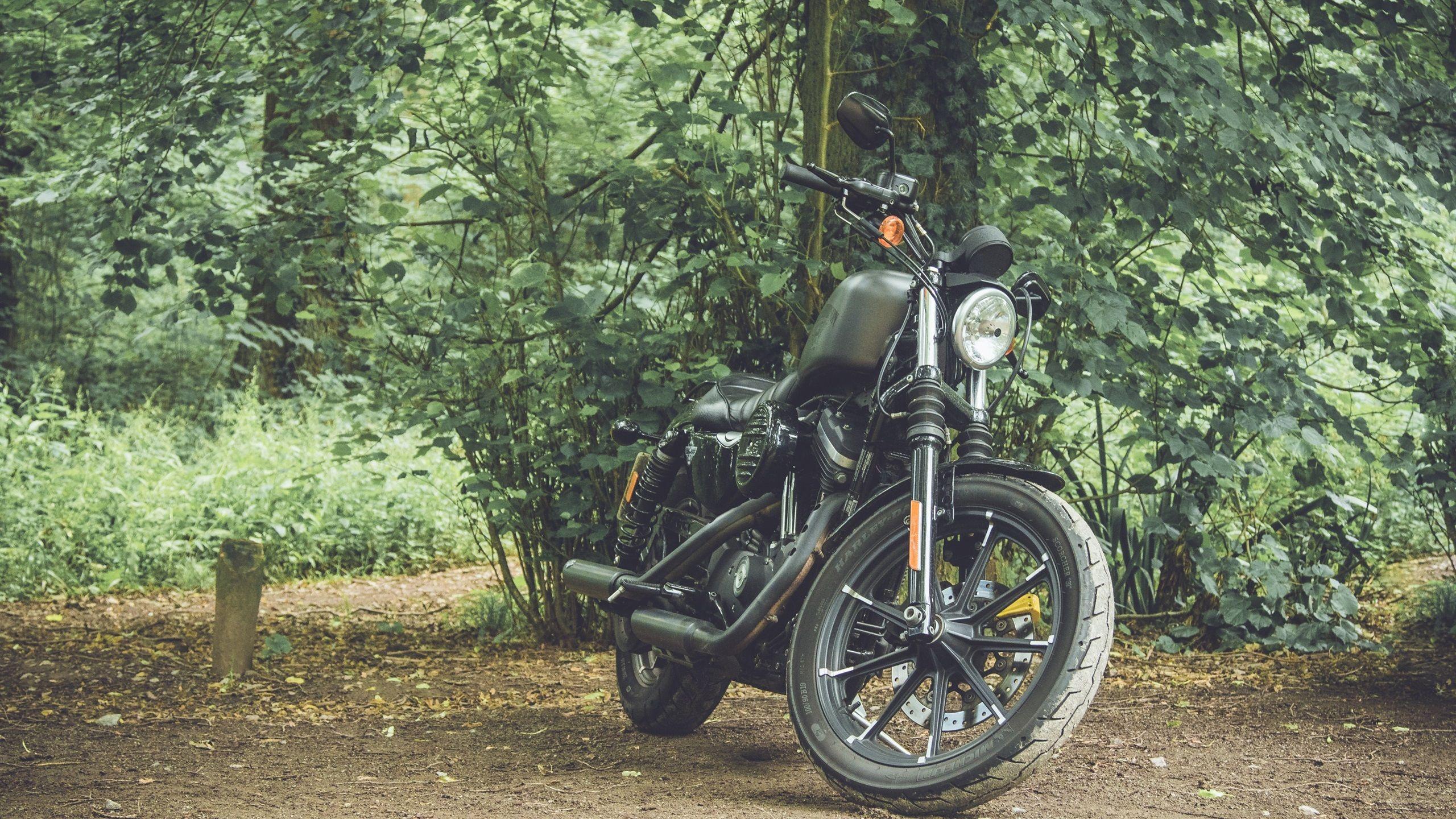 2560x1440 Wallpaper Retro motorcycle 2880x1800 HD Picture, Image