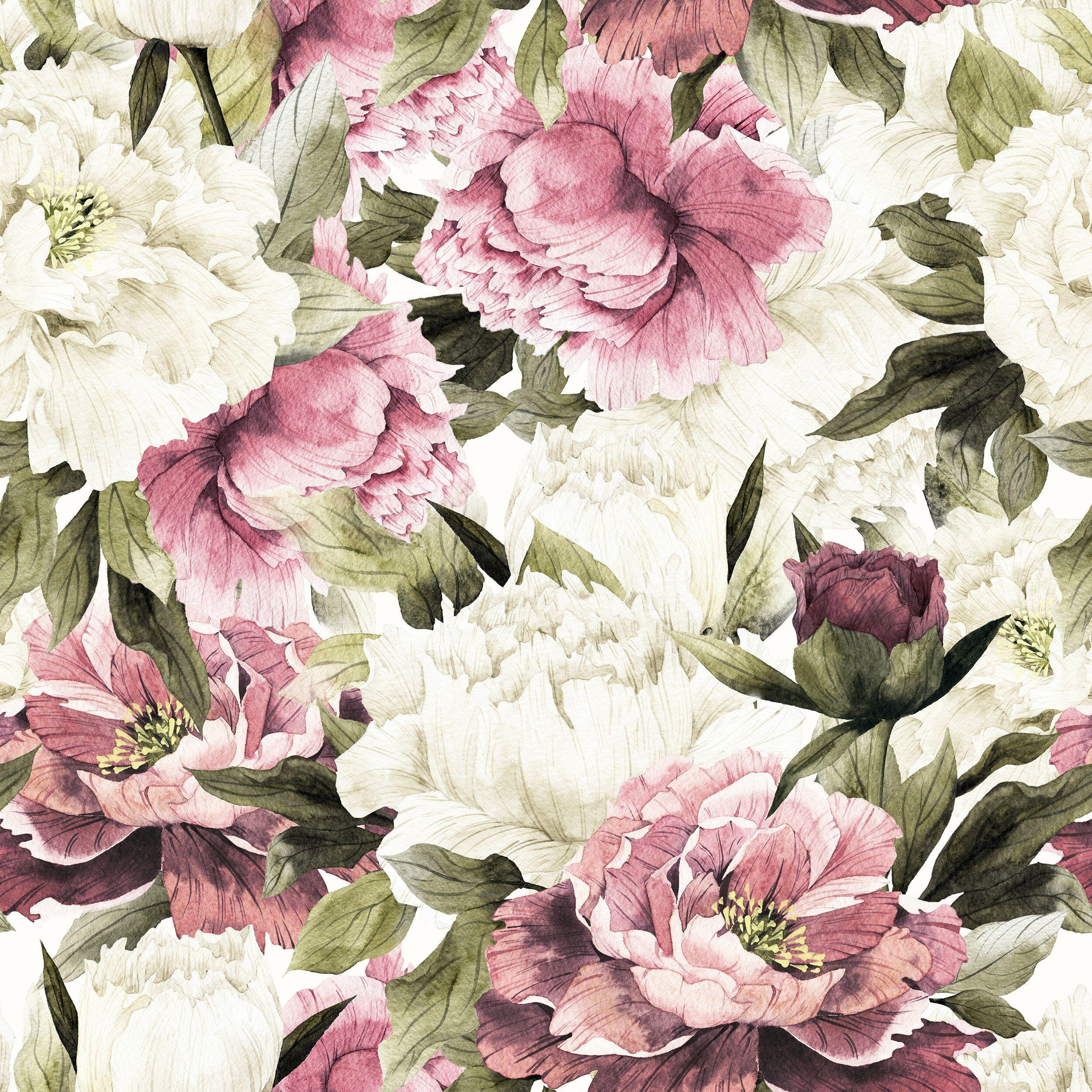 Vintage Pink Peony Wallpapers - Top Free Vintage Pink Peony Backgrounds