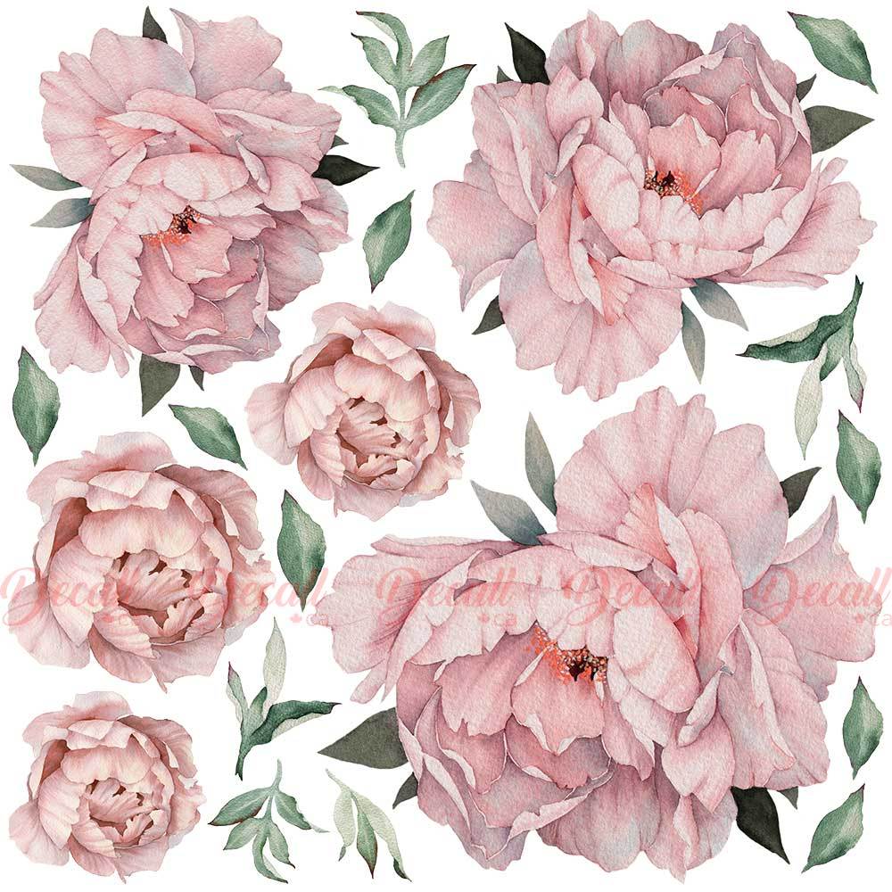 Vintage Pink Peony Wallpapers - Top Free Vintage Pink Peony Backgrounds