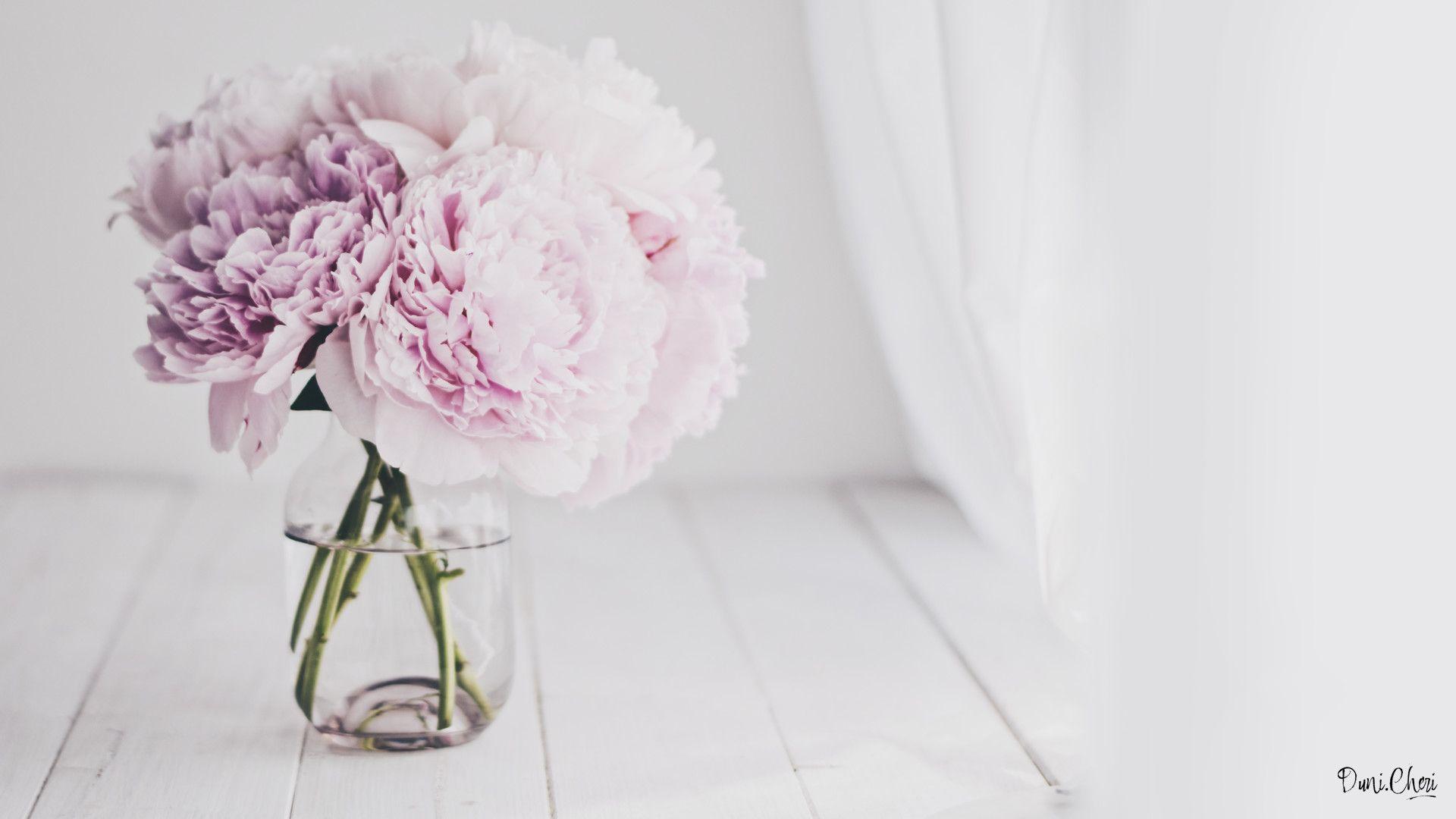 1920x1080 White Peonies Wallpaper