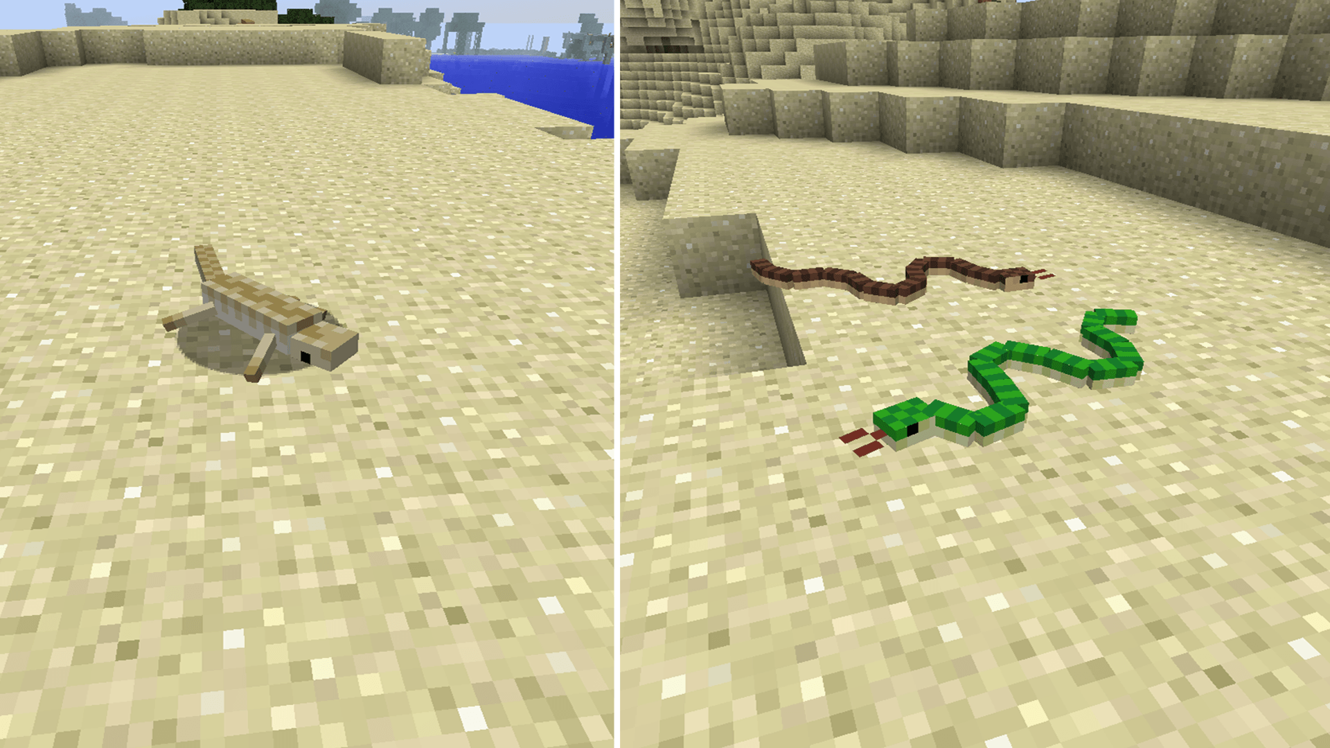1920x1080 Animals+