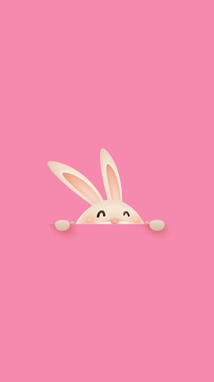 Iphone cute pink bunny HD wallpapers  Pxfuel
