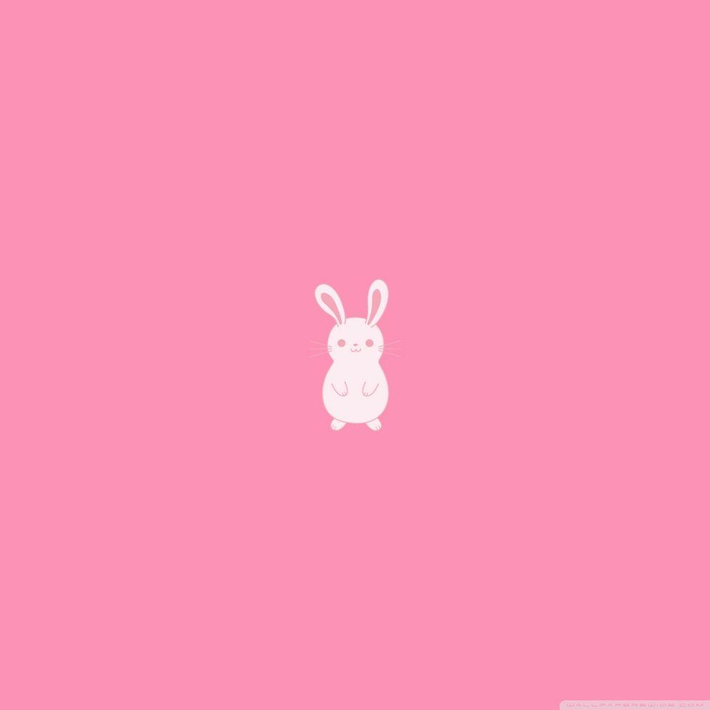 Pink Bunny Wallpapers - Top Free Pink Bunny Backgrounds - WallpaperAccess