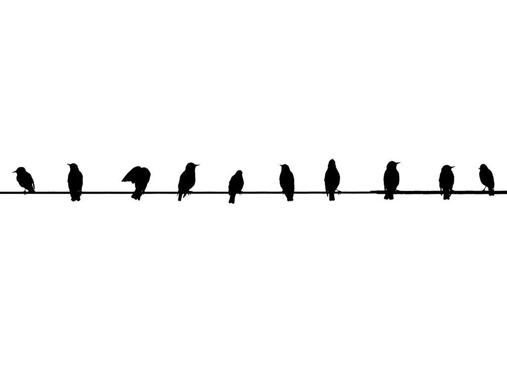 1024x768 tumblr background black and white birds