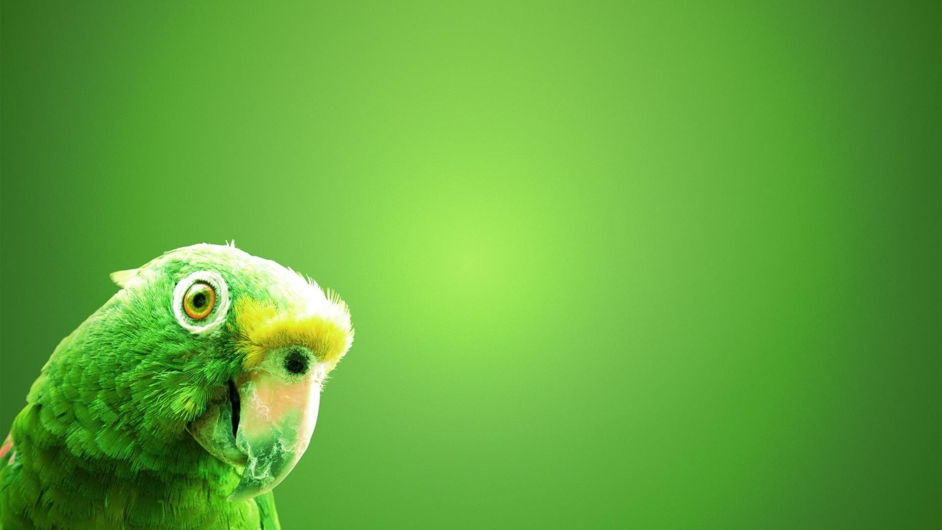 1920x1080 