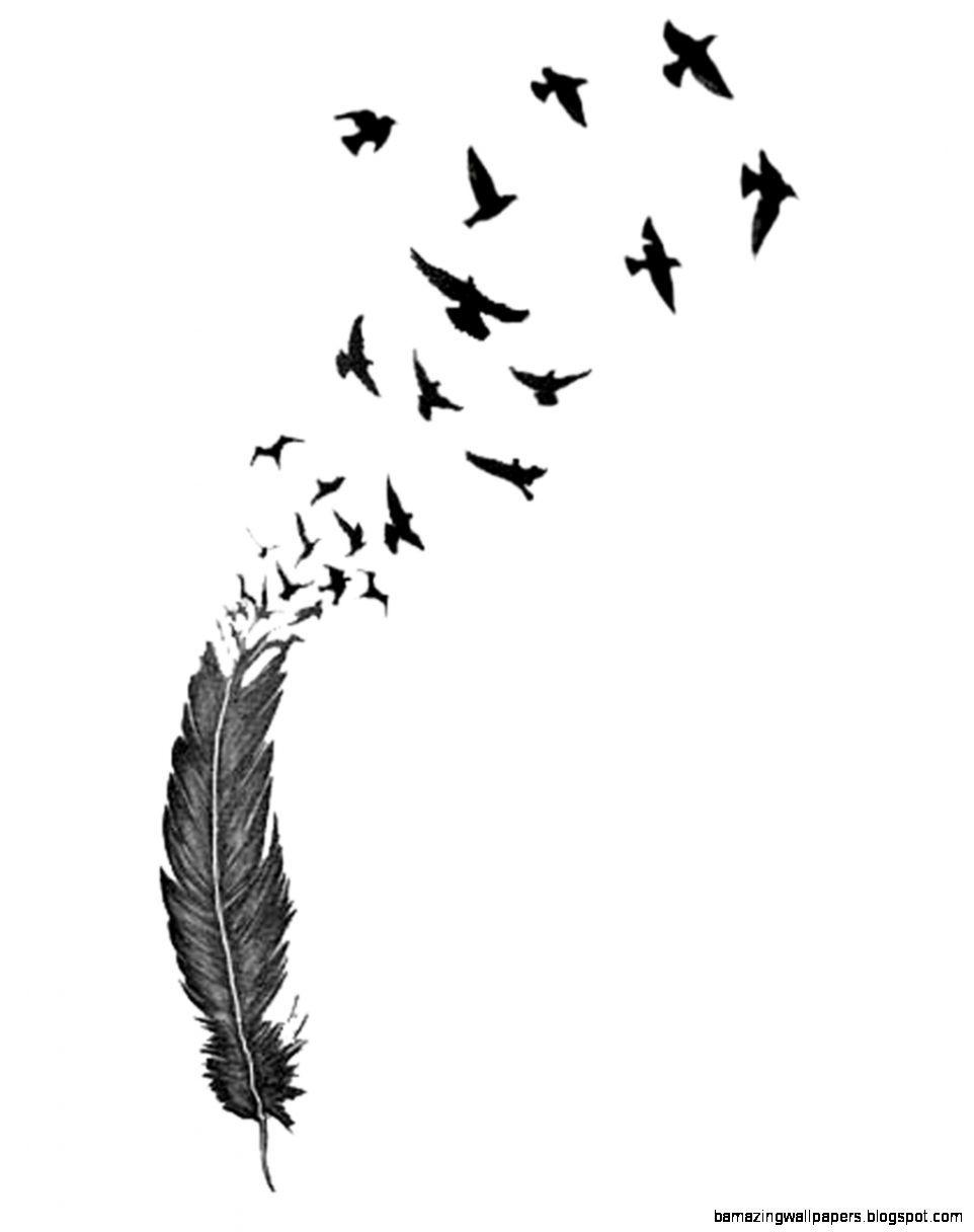 962x1216 black and white drawings birds