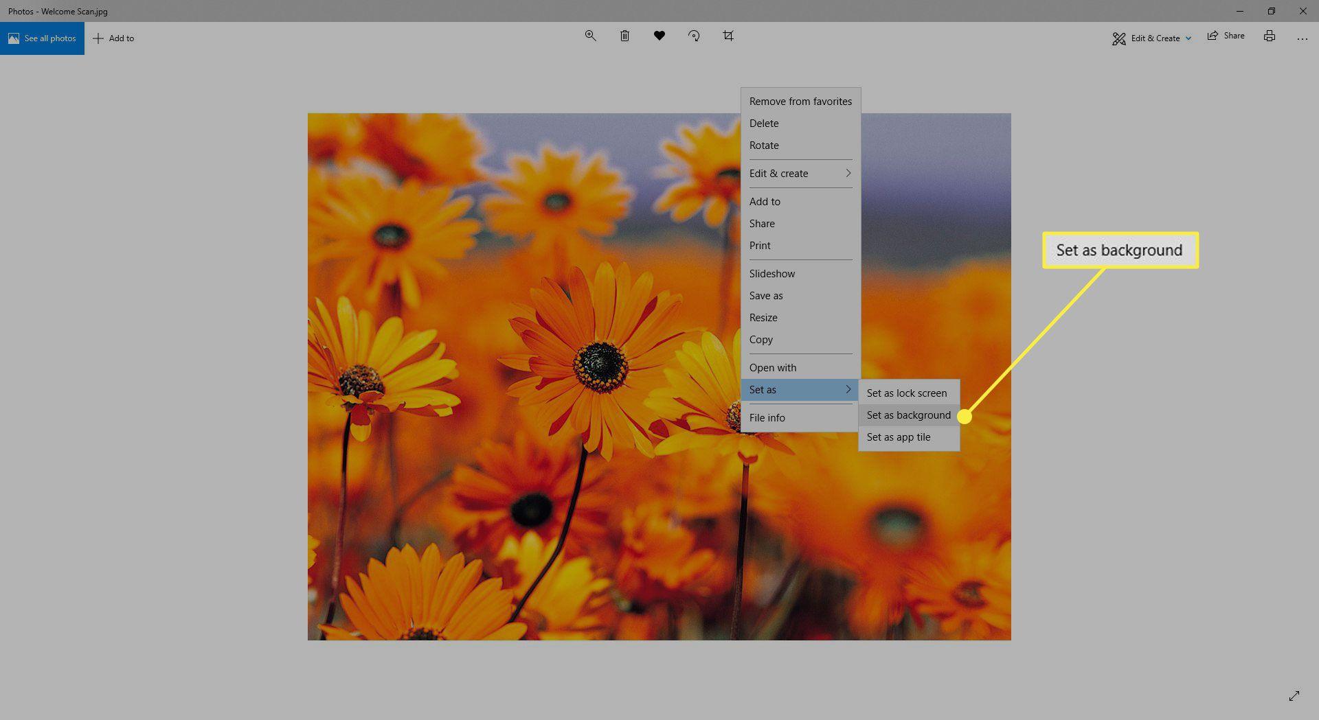 1920x1049 How Do I Change the Wallpaper on My Computer or Phone?