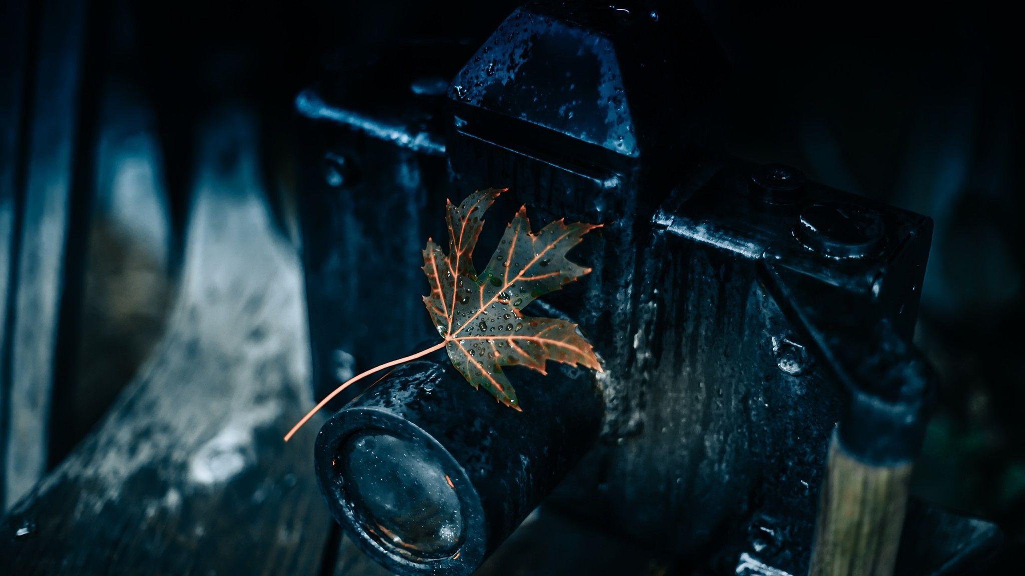 2048x1152 leaves, Dark, Macro, Water drops, Camera Wallpaper HD / Desktop