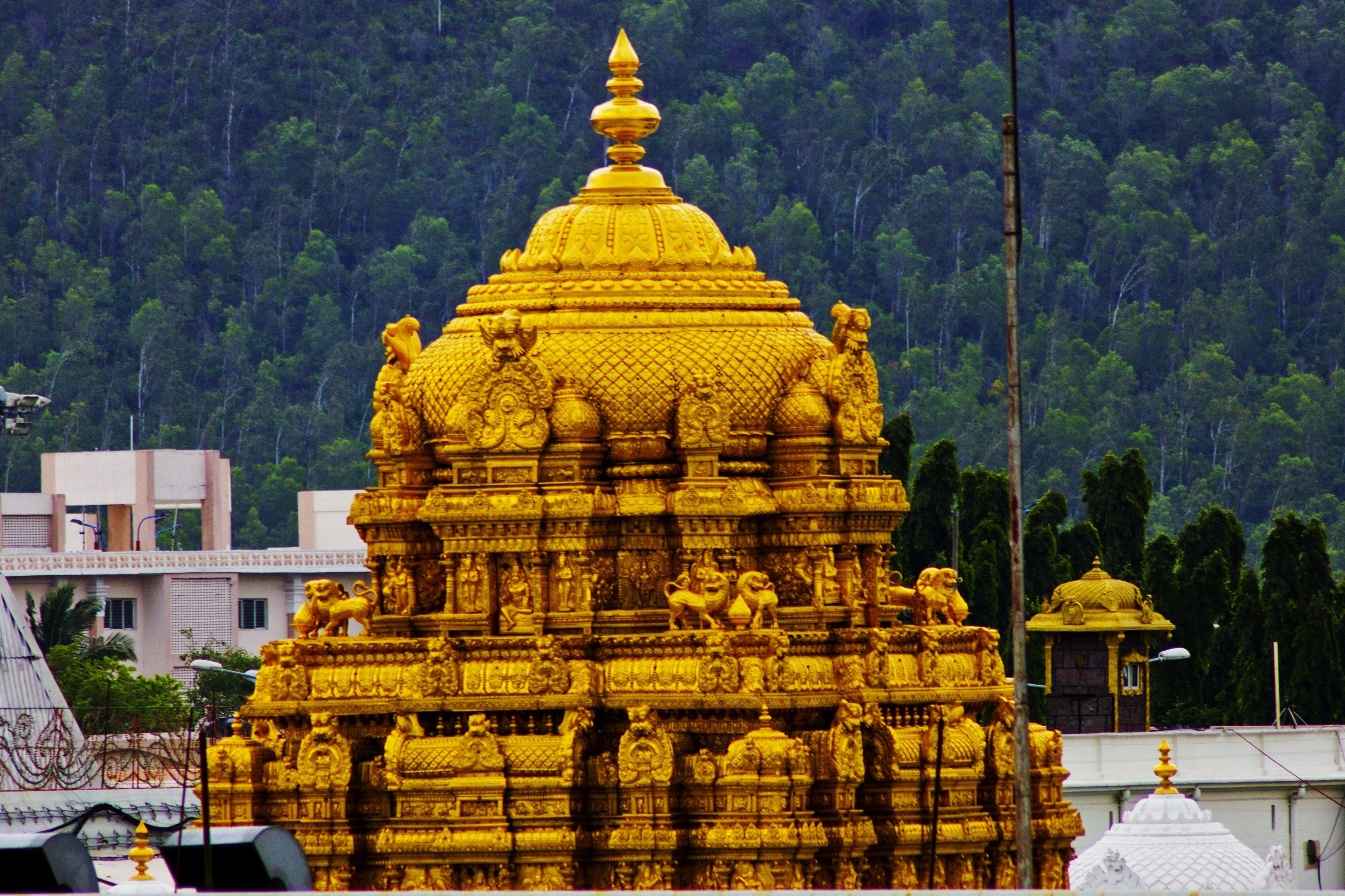Tirupati Balaji Tirumala Temple Andhra Pradesh Histor - vrogue.co