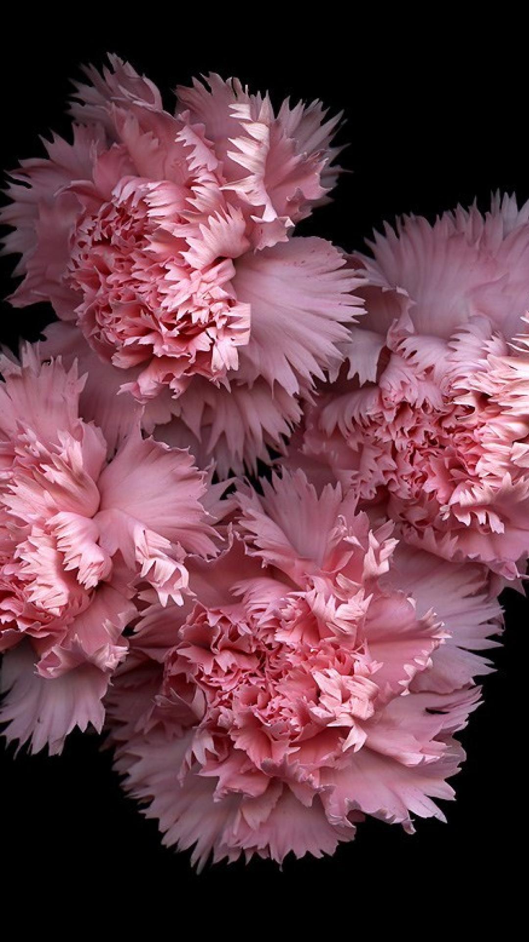1080x1920 Pink And Black iPhone Wallpaper