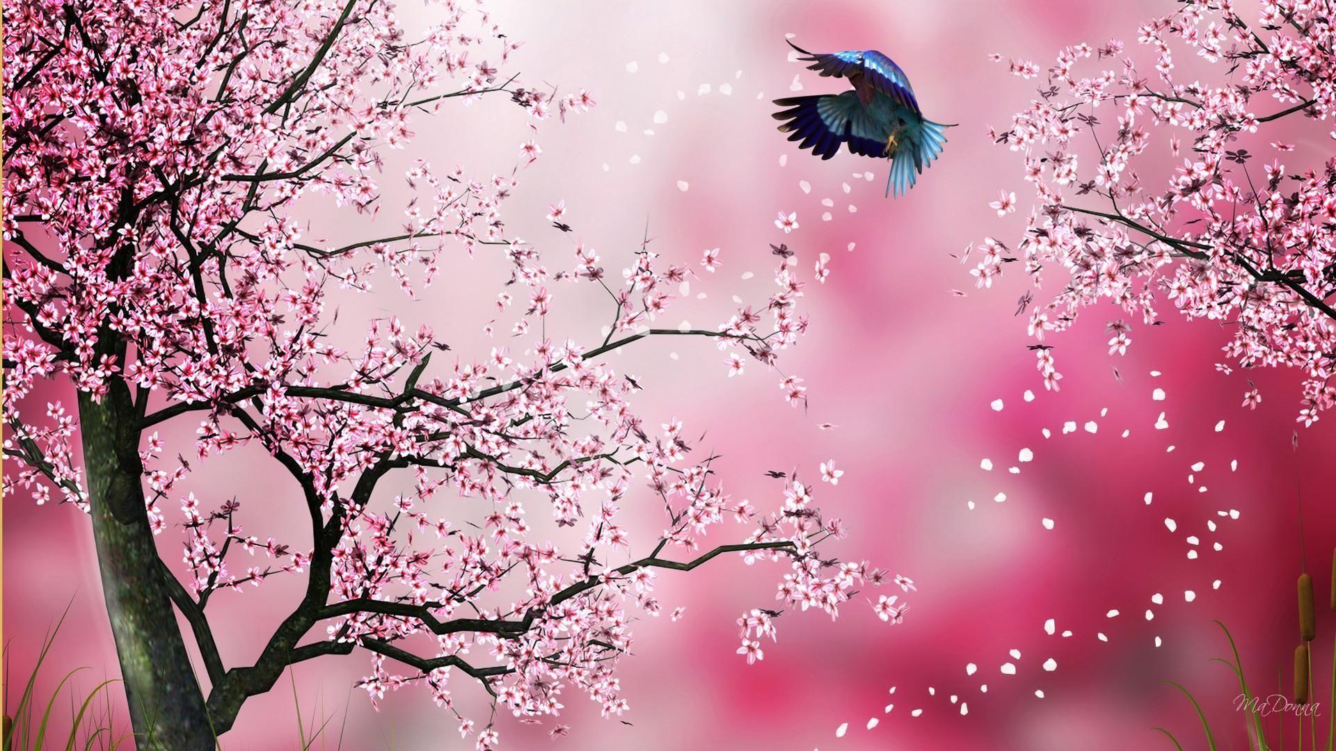 Bunga Sakura Wallpapers Top Free Bunga Sakura Backgrounds Bunga Sakura Wallpapers Top Free Bunga Sakura Backgrounds