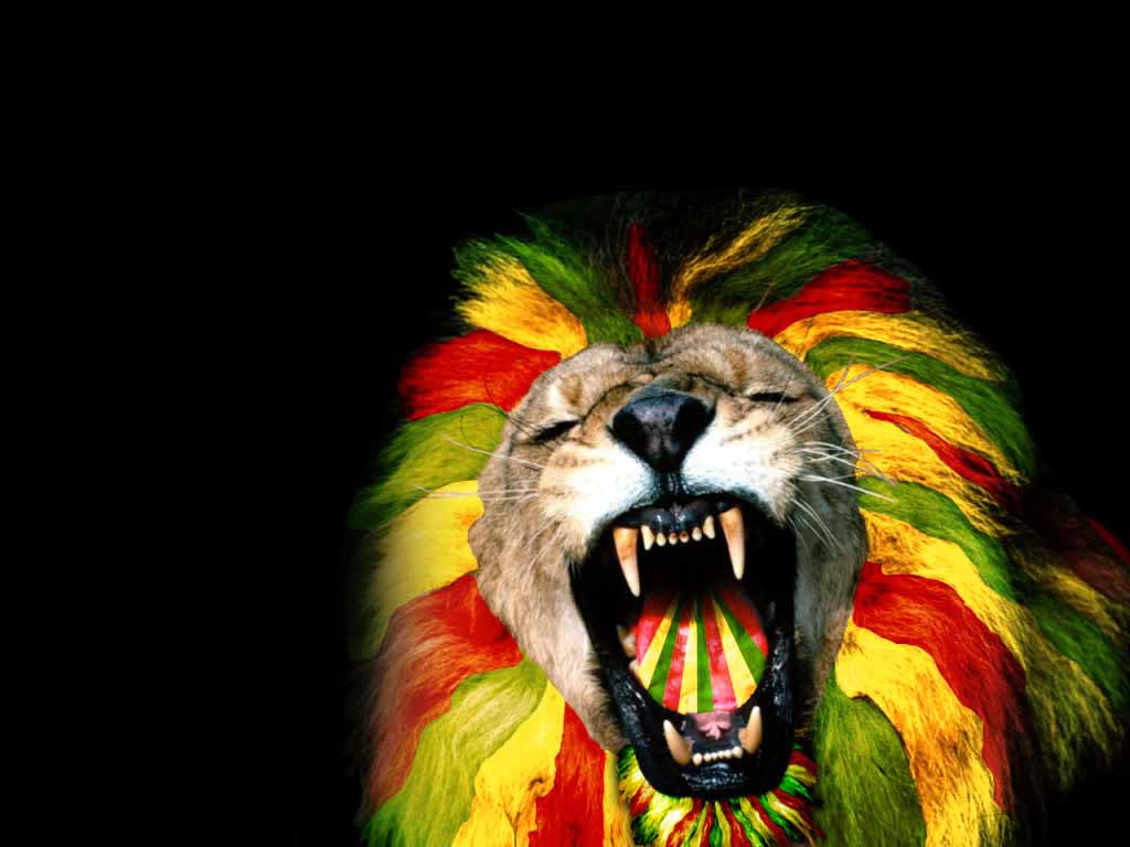 1024x768 Trippy Lion Wallpaper 1024x768