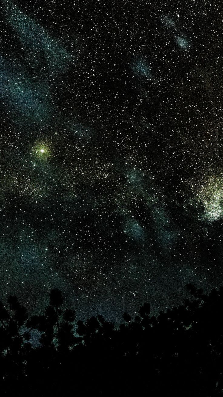 736x1308 Space Star Night Sky Fall Nature Wood Dark Blue iPhone 8 Wallpaper
