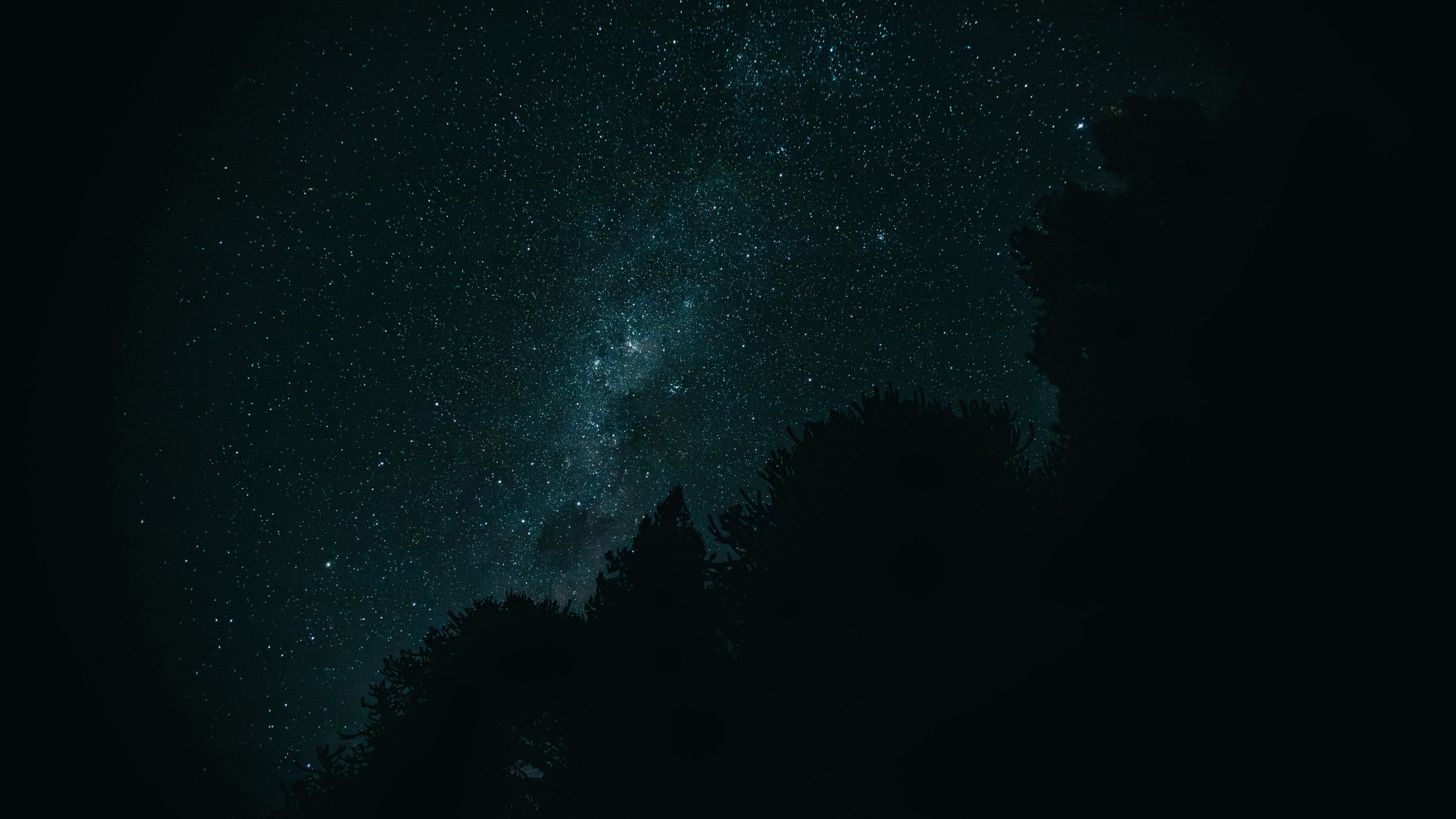 3840x2160 serene night sky filled with stars and the Milky Way, seen above the silhouette of forest trees 4K HD space Wallpaper