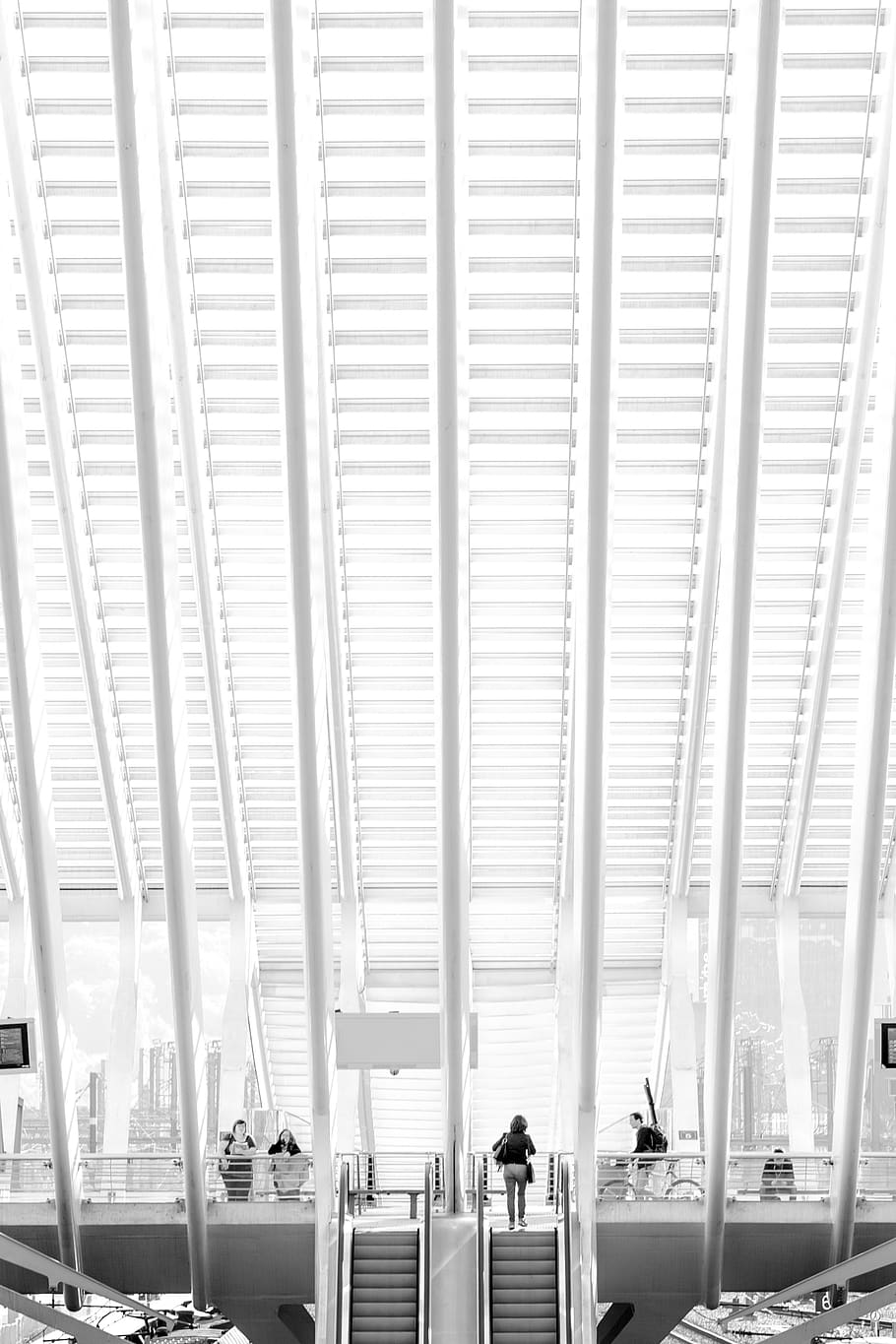 910x1365 HD Wallpaper: Belgium, Liège, Liege Guillemins, Lines, White, Blackandwhite