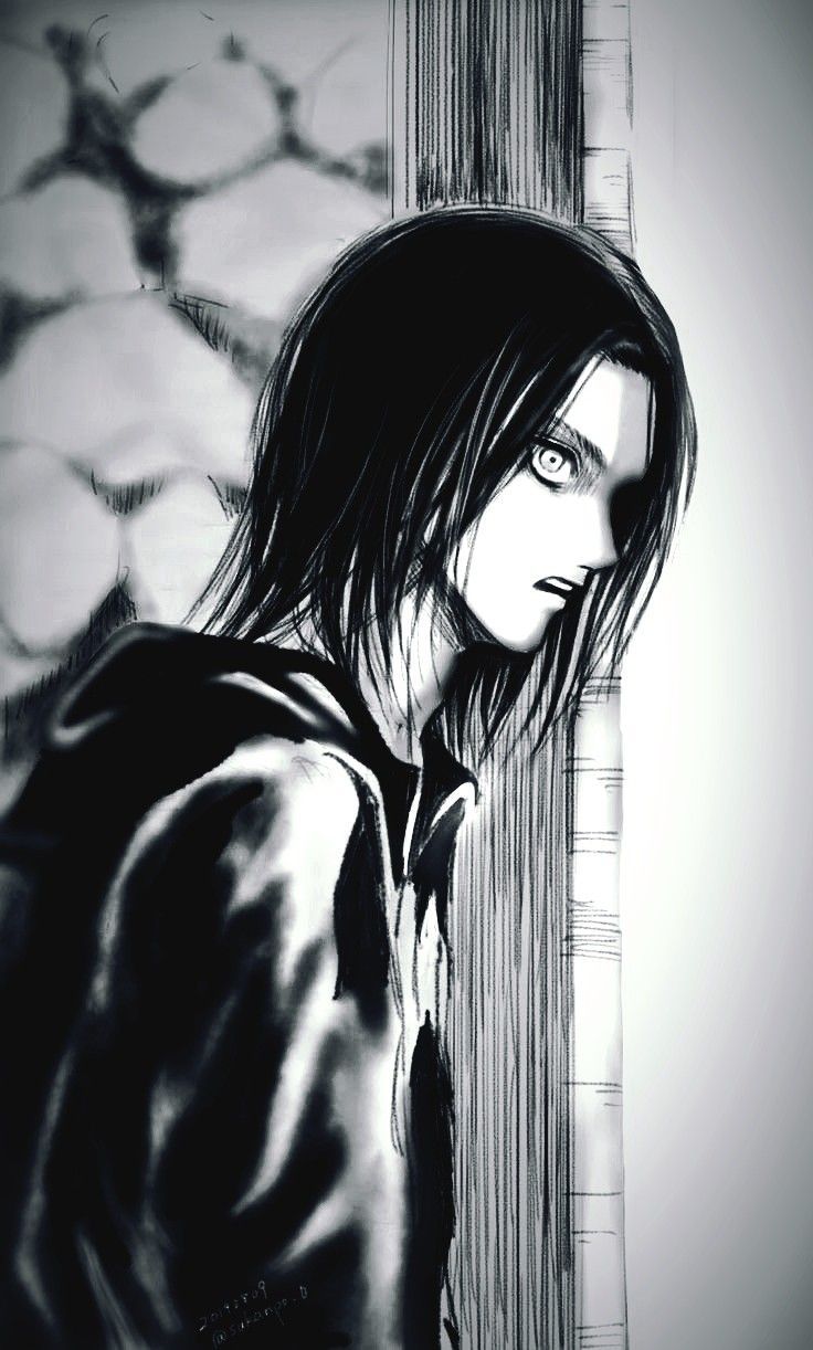 736x1222 Attack On Titan Black And White Wallpaper
