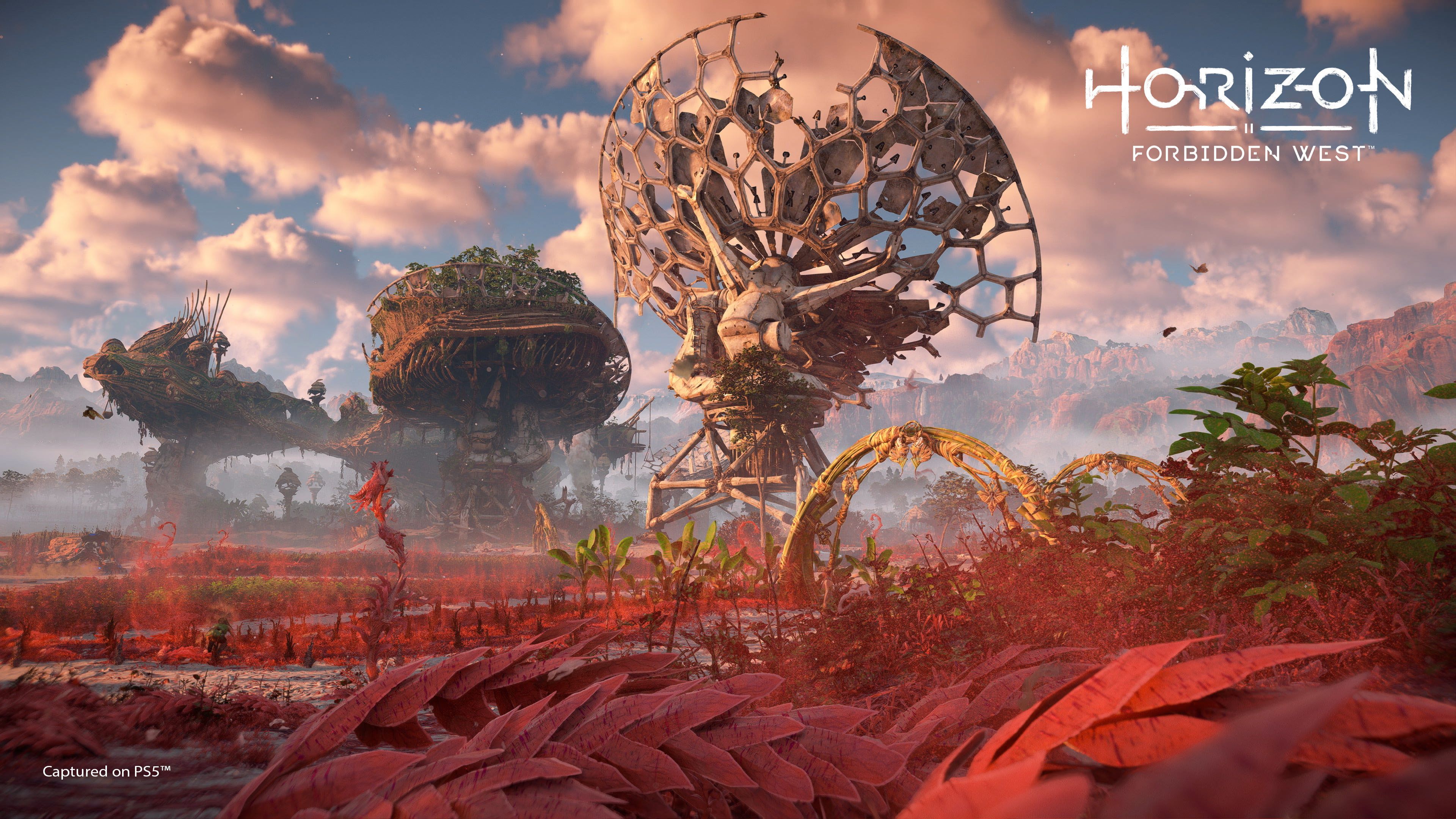 3840x2160 Horizon Forbidden West 4K Ultra HD