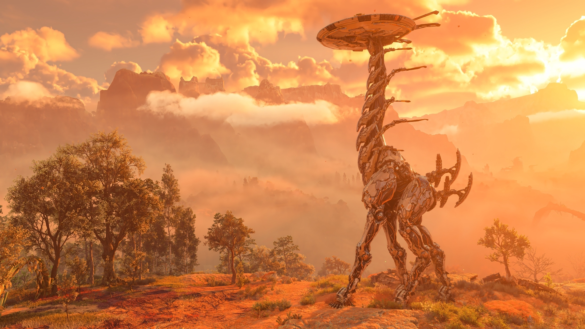 1920x1080 Aloy HD Horizon Forbidden West 2024 Wallpaper, HD Games 4K Wallpaper, Image and Background