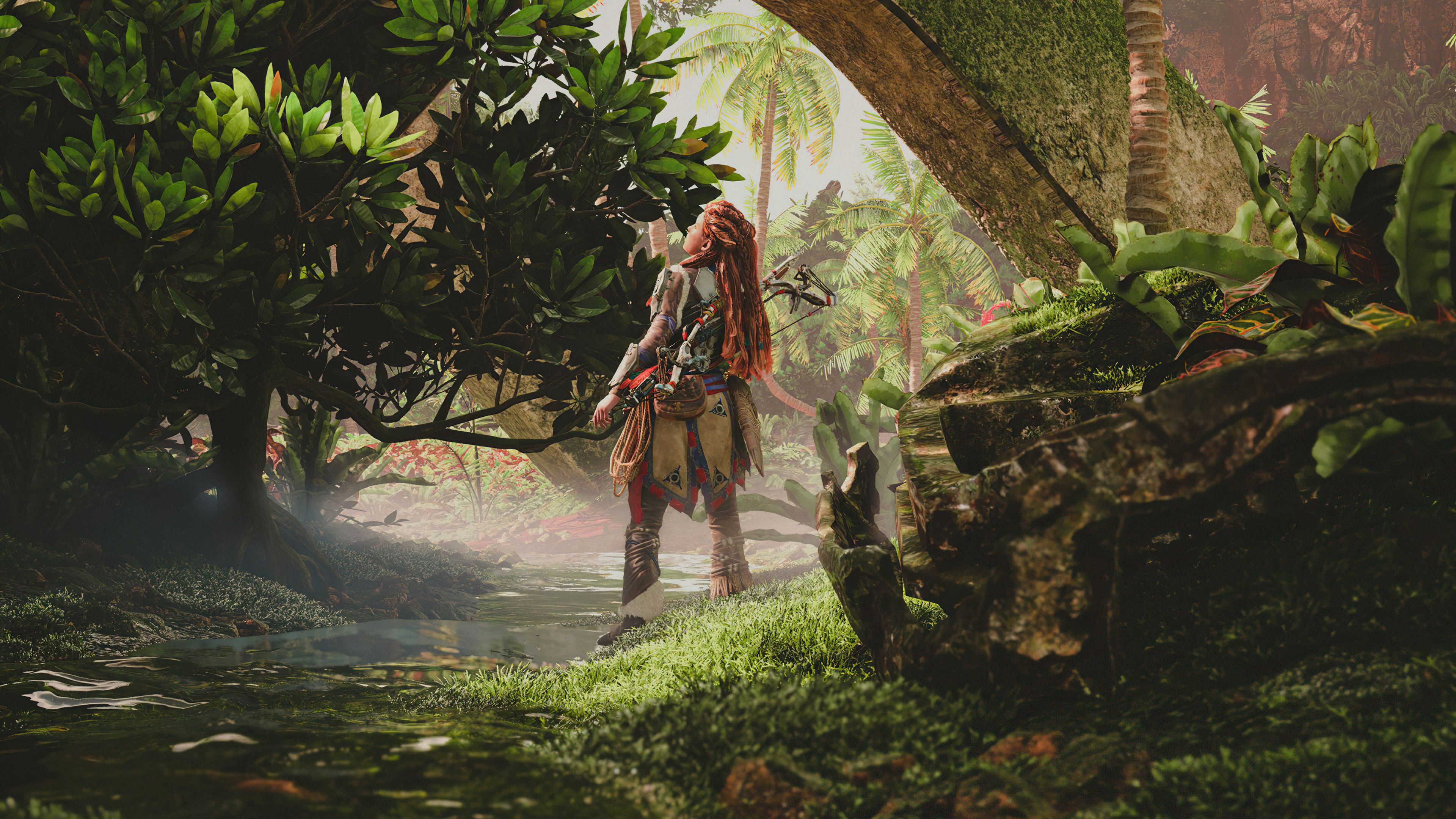 3840x2160 The Horizon Forbidden West 4k Wallpaper, HD Games Wallpaper, 4k Wallpaper, Image, Background, Photos and Picture