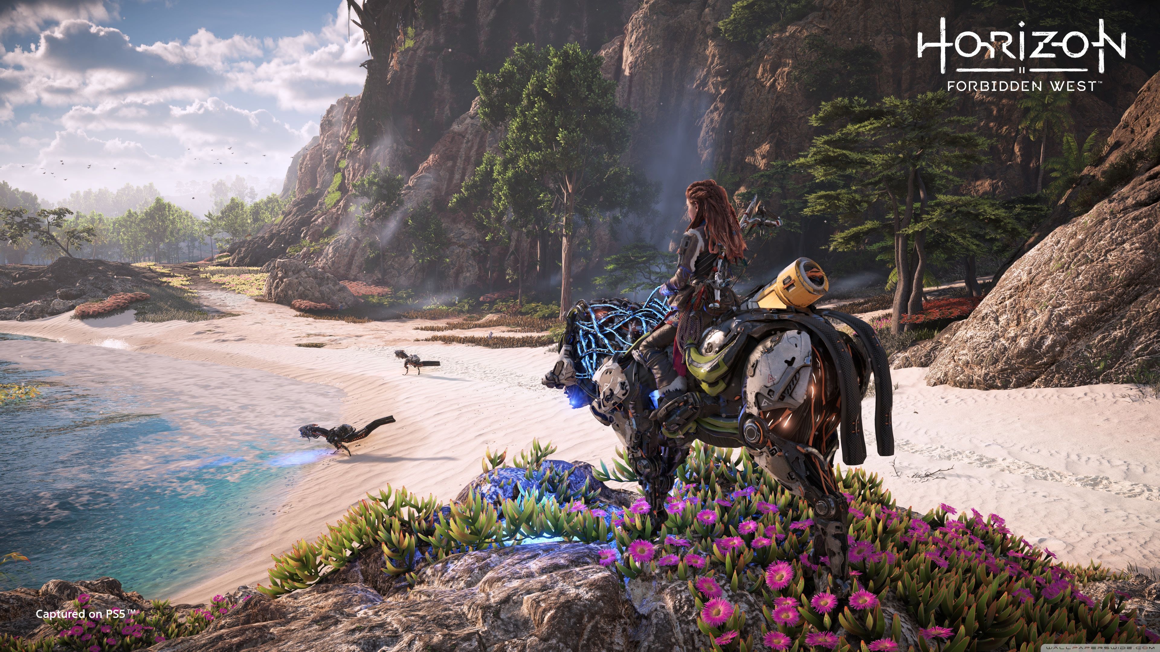 3840x2160 Horizon Forbidden West 4K UHD Wallpaper for UltraHD Desktop and TV : Widescreen and UltraWide Display : Smartphone and Tablet Devices