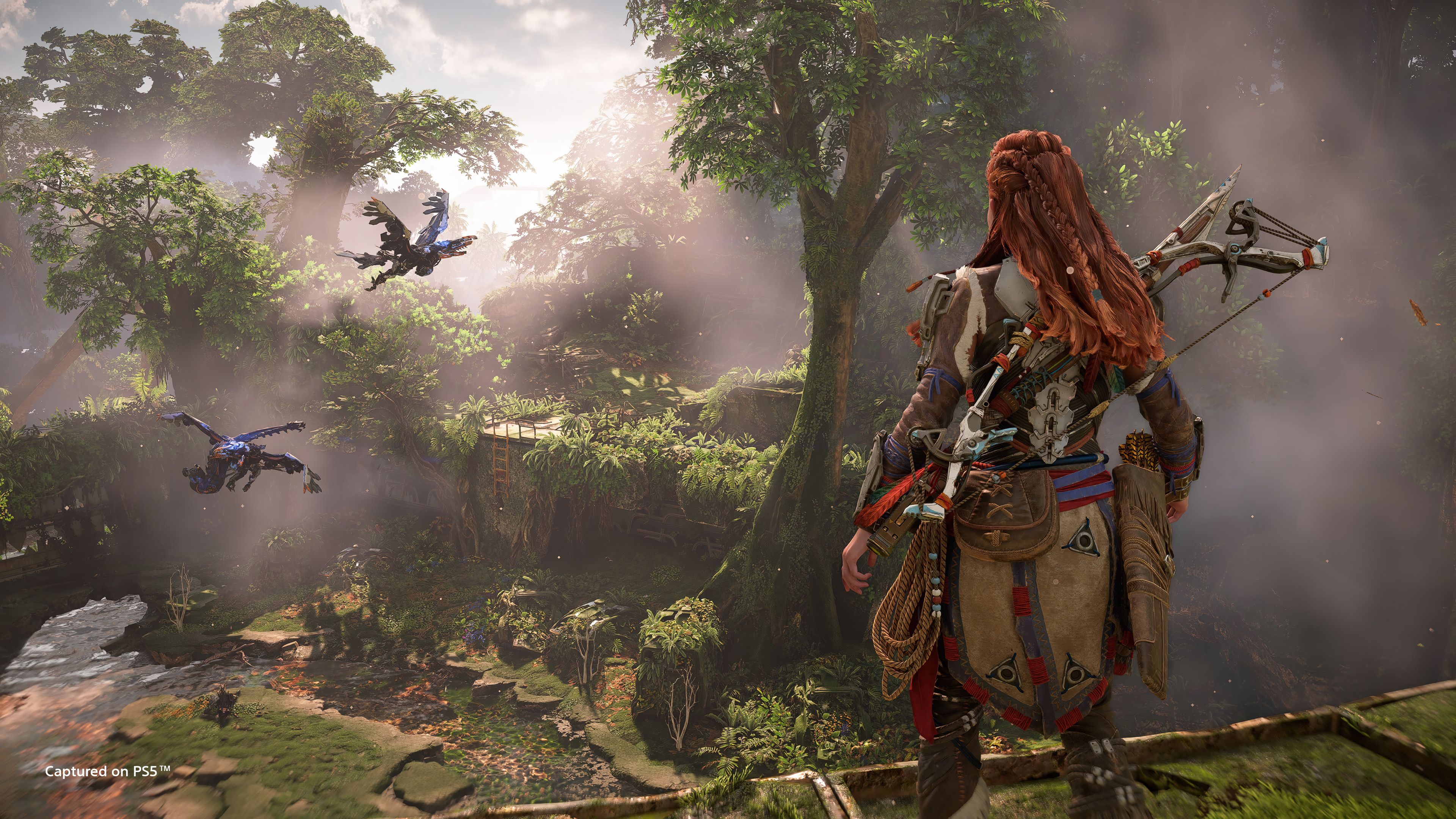3840x2160 Aloy (Horizon Forbidden West) PS5 Wallpaper 4K HD PC f