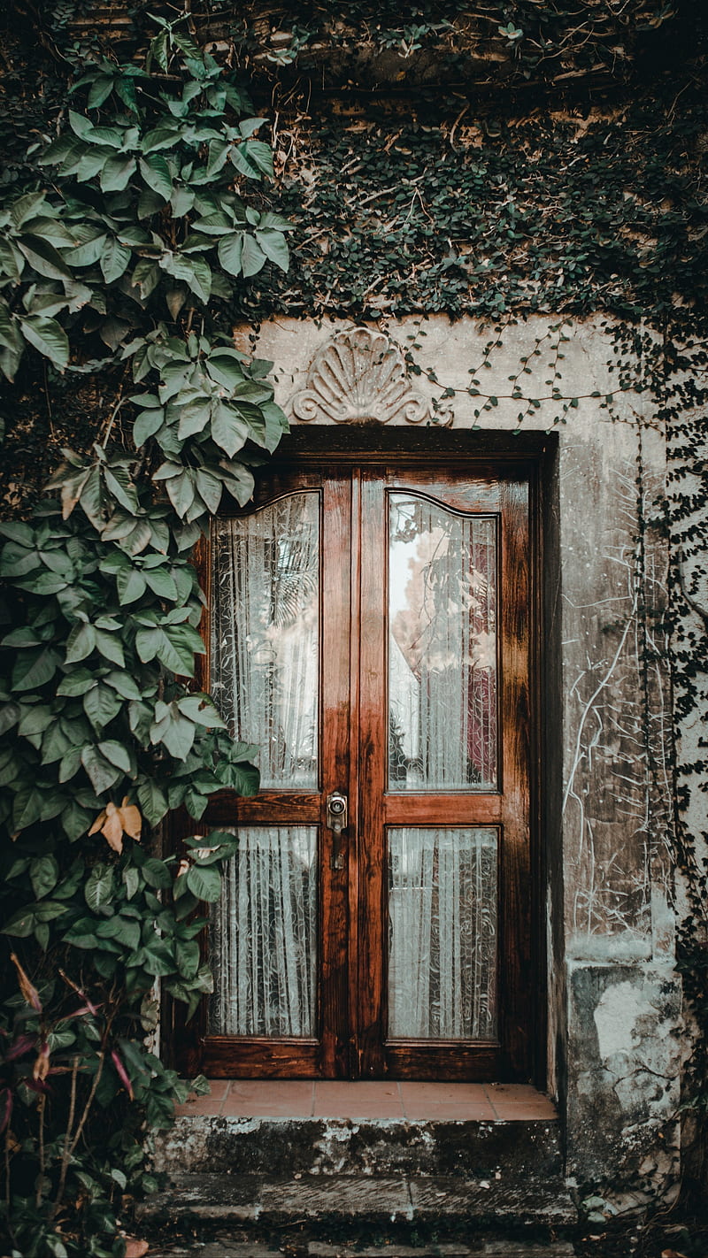 800x1422 Dark door, houses, rain, window, wood, HD phone wallpaper