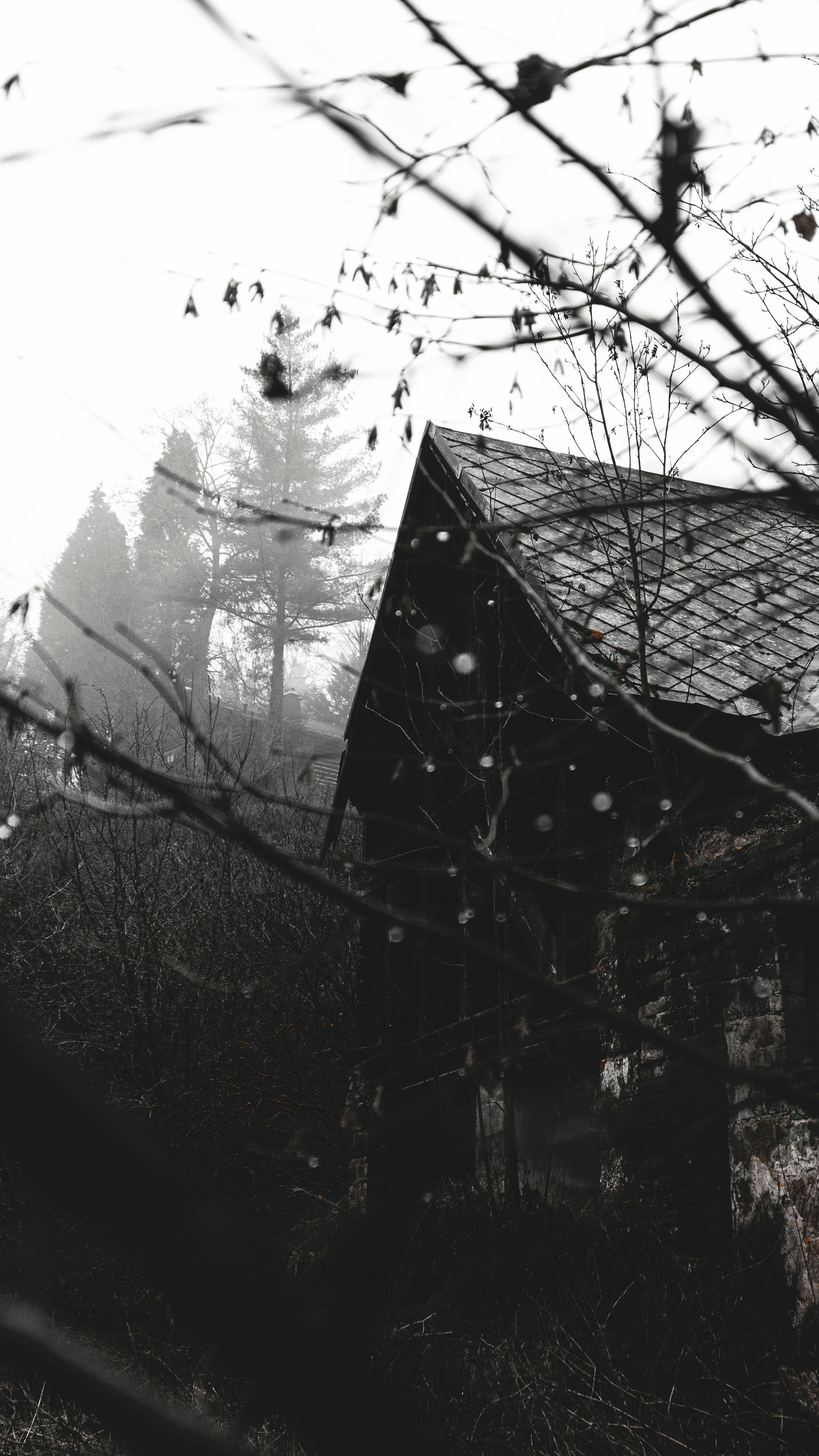 3000x5333 Rain House Picture. Download Free Image