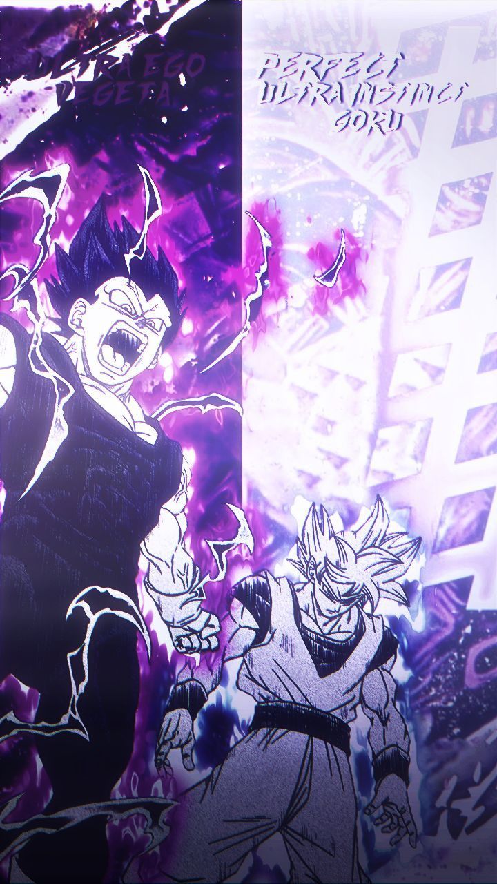 720x1280 Vegeta Ultra Ego and Goku Ultra Instinct Wallpaper