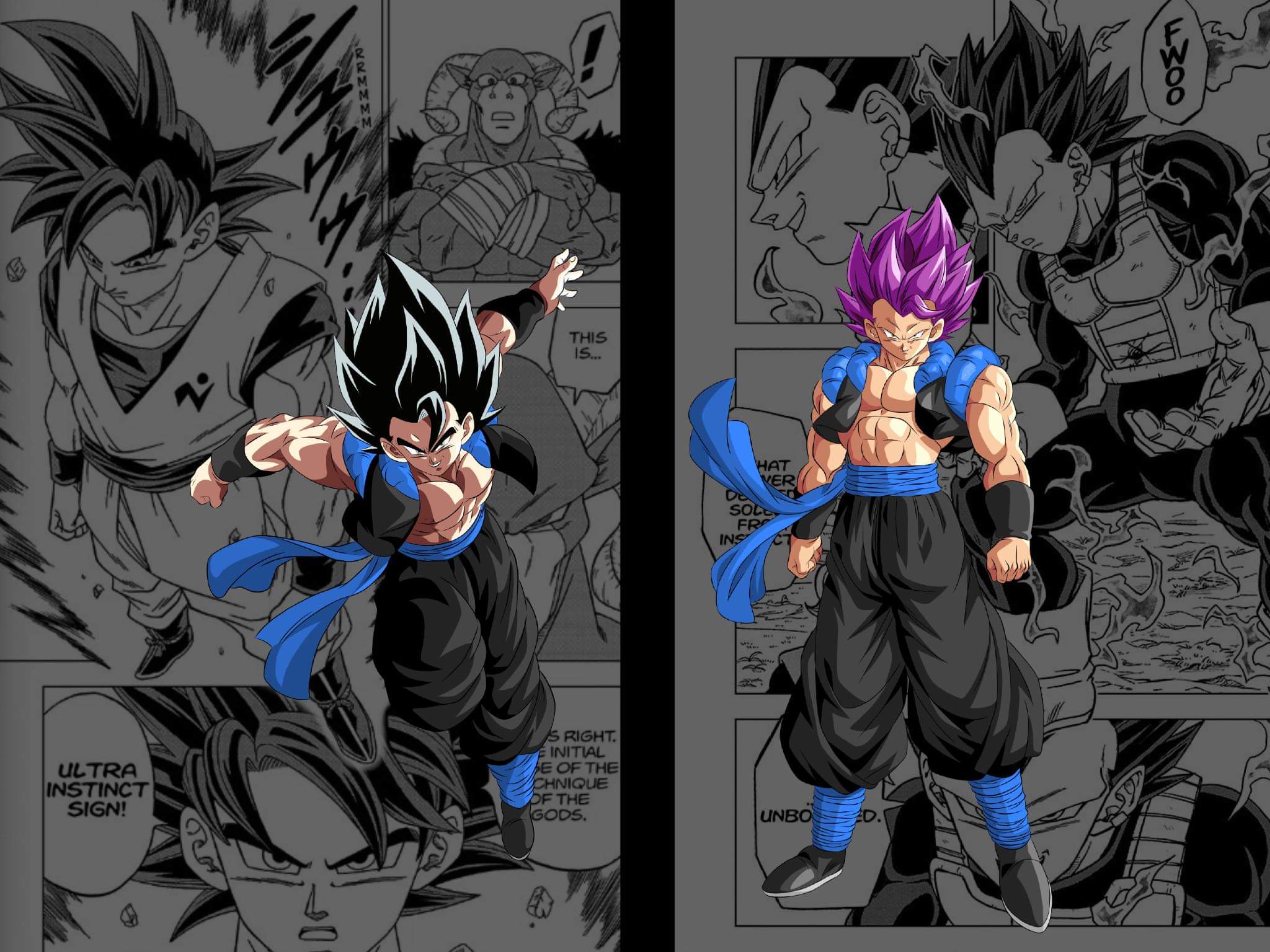2048x1536 Ultra Ego and Ultra Instinct Gogeta Edits