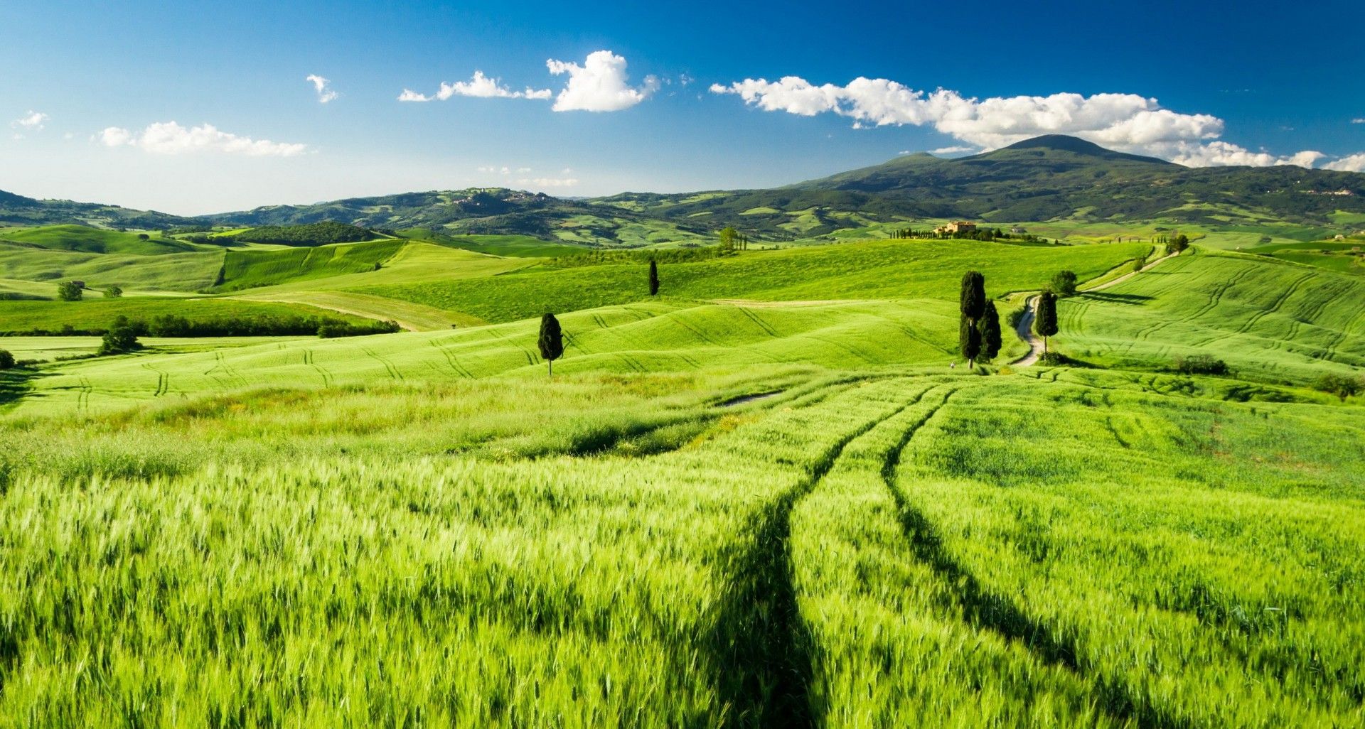 1920x1026 Nature Windows Wallpaper