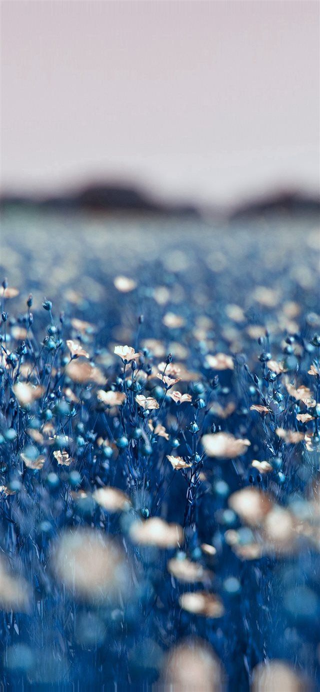 640x1385 Latest Lockscreen iPhone X HD Wallpaper
