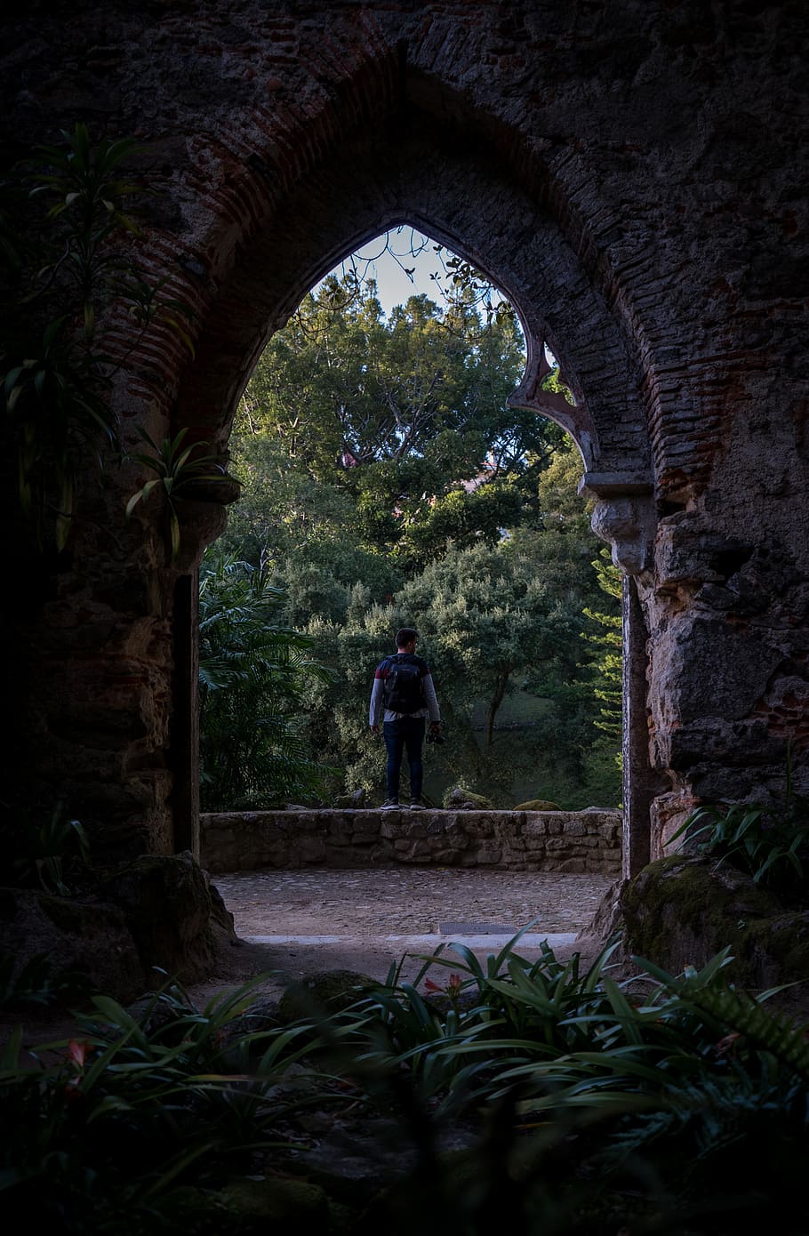 910x1390 Monserrate 1080P, 2K, 4K, 5K HD wallpaper free download