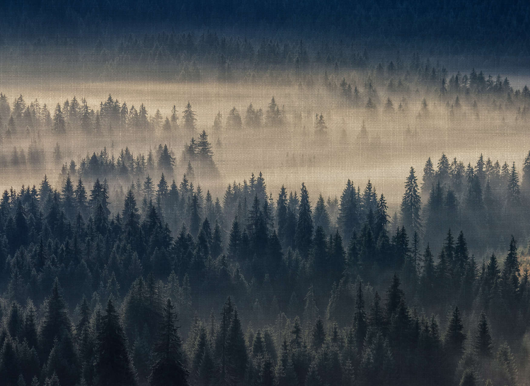 1750x1275 Forest Landscape Wallpaper on Linen Texture Optics, Beige